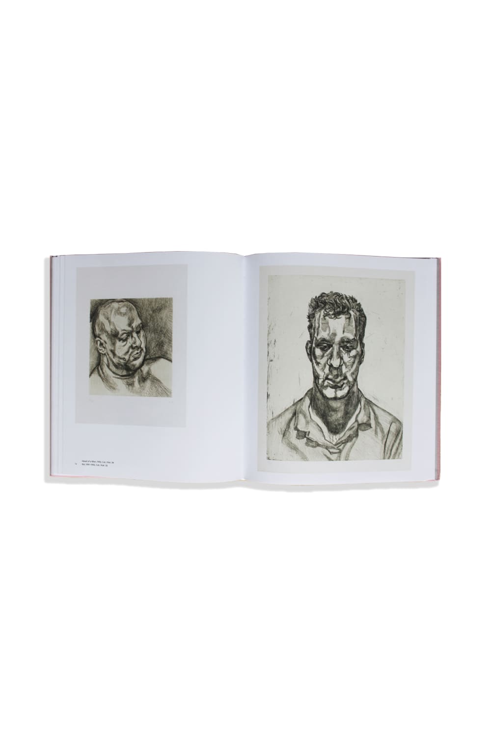 Fin All Design-Lucian Freud-Kitap-2-Milagron.com