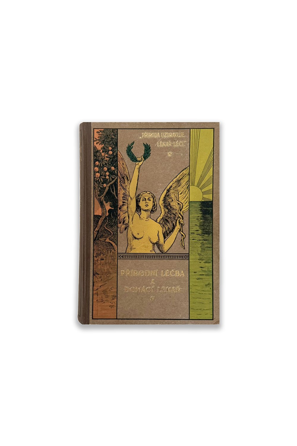 Fin All Design-Prirodni Lecba A Domaci Lekar 1 / Doğal Tedavi Ve Ev Doktoru-Kitap-1-Milagron.com