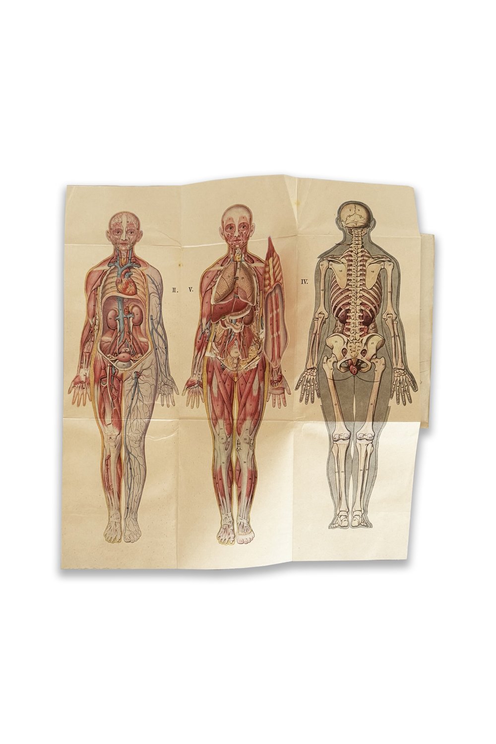 Fin All Design-Prirodni Lecba A Domaci Lekar 1 / Doğal Tedavi Ve Ev Doktoru-Kitap-3-Milagron.com