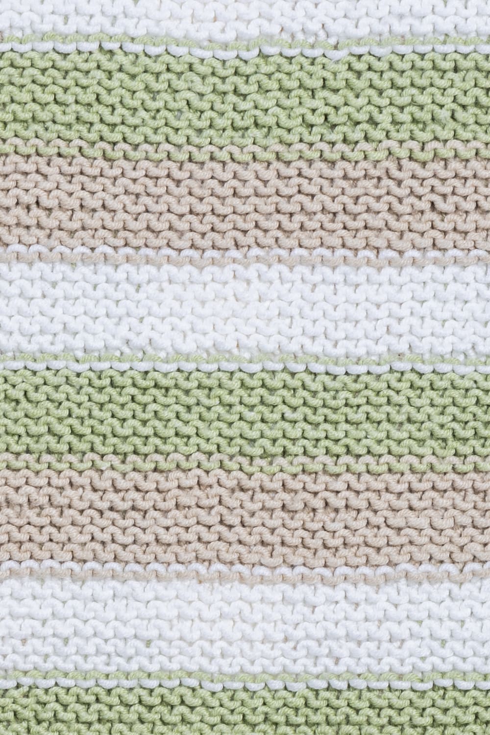 Froglet-Vernalis Battaniye-Battaniye-4-Milagron.com