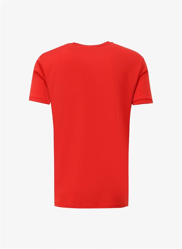 Bisiklet Yaka Kol Ucu Duble Slim Fit Erkek T-Shirt