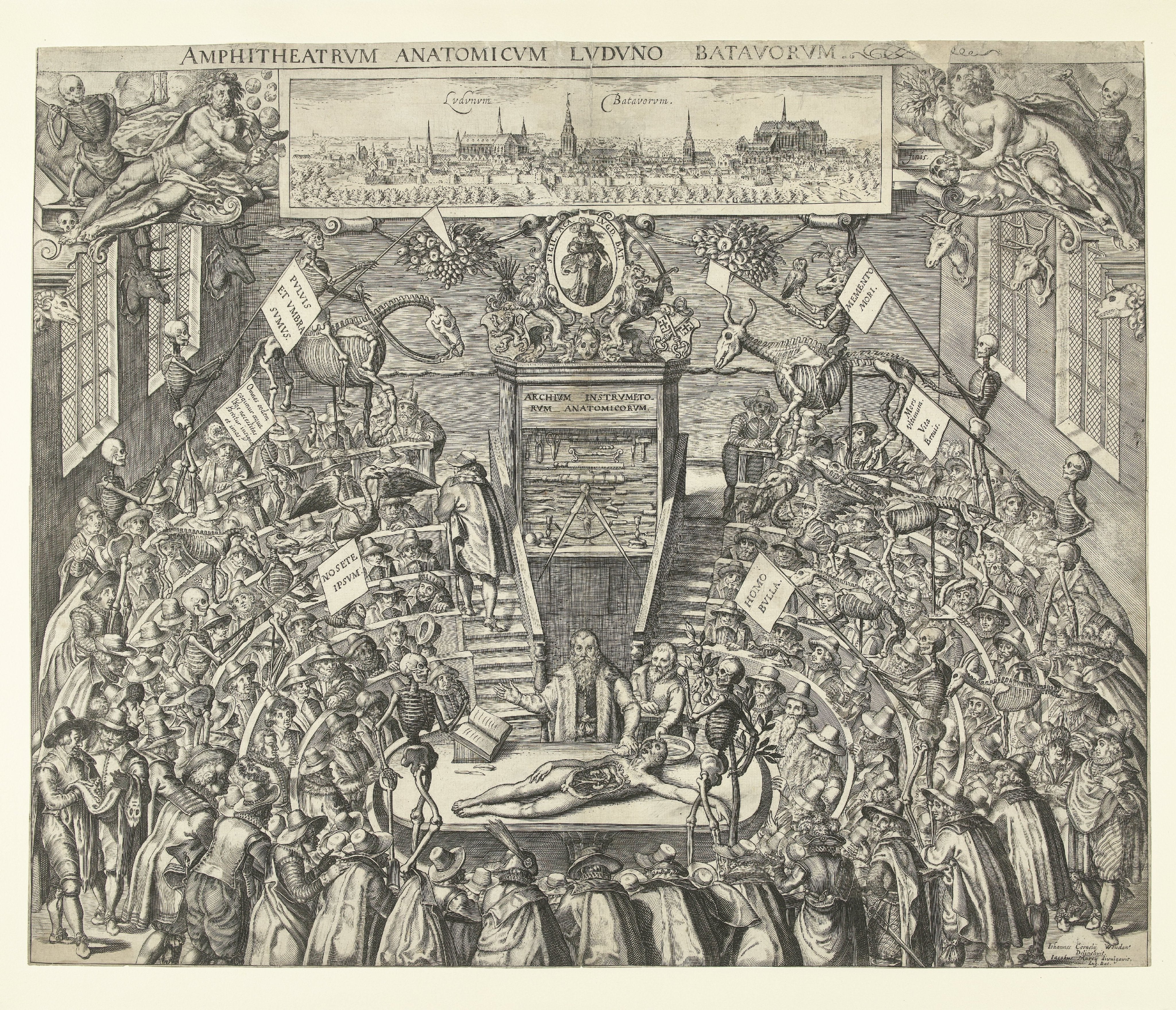 Bartholomeus Willemsz. Dolendo - Batavia’Da Lyon Anatomi Amfisi
