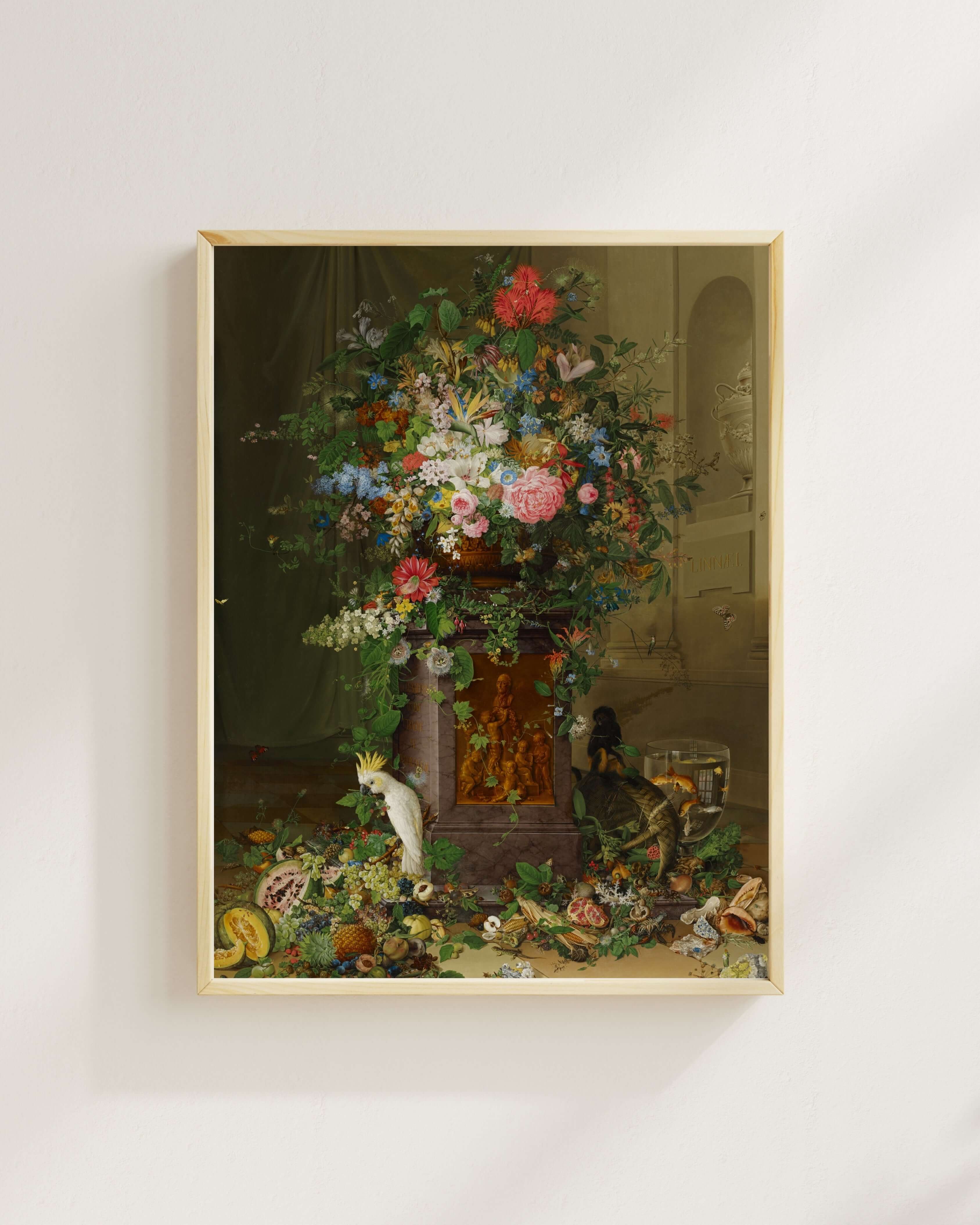 Johann Knapp - Jacquin’E Saygı