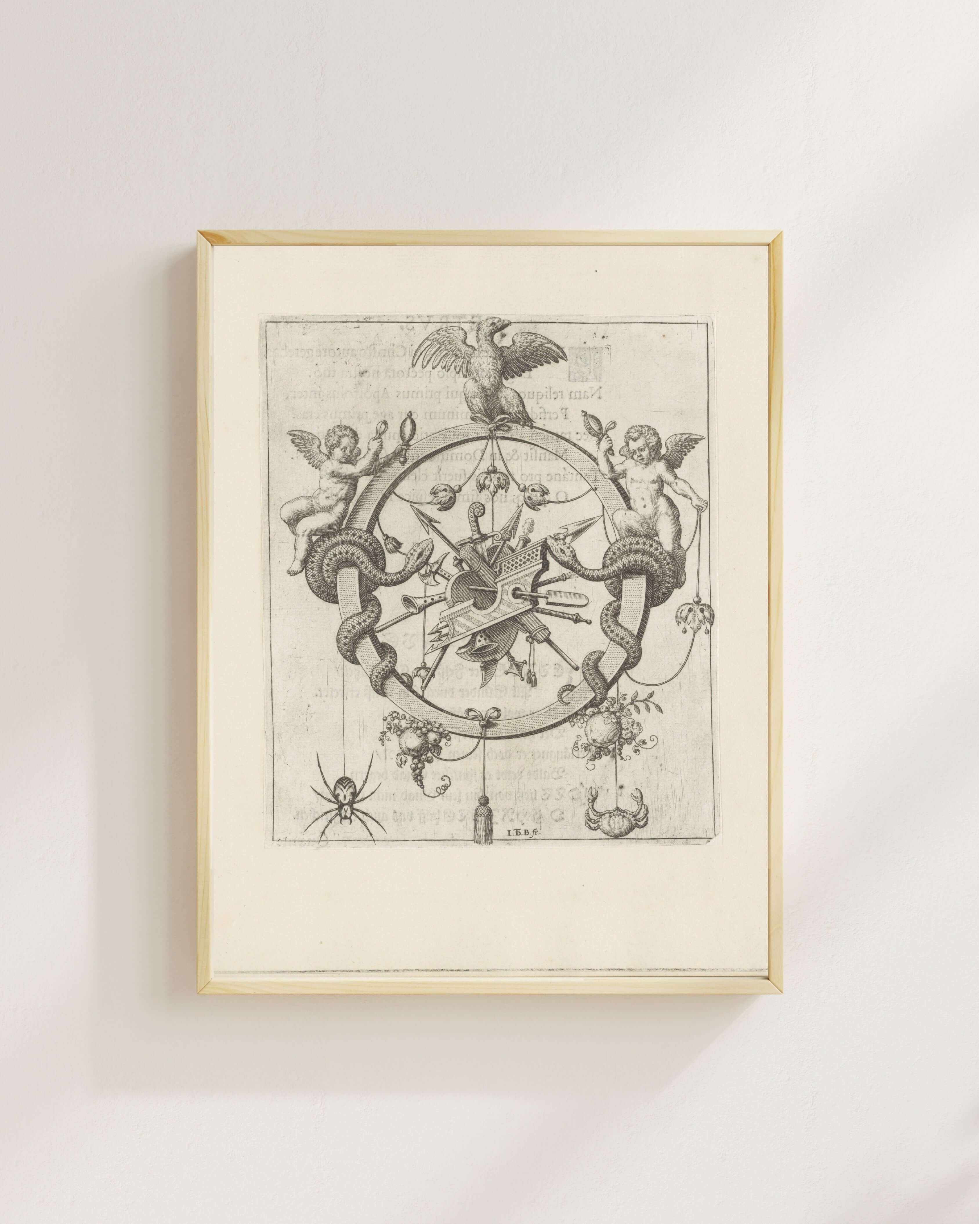 Johann Theodor De Bry - Ey Rab