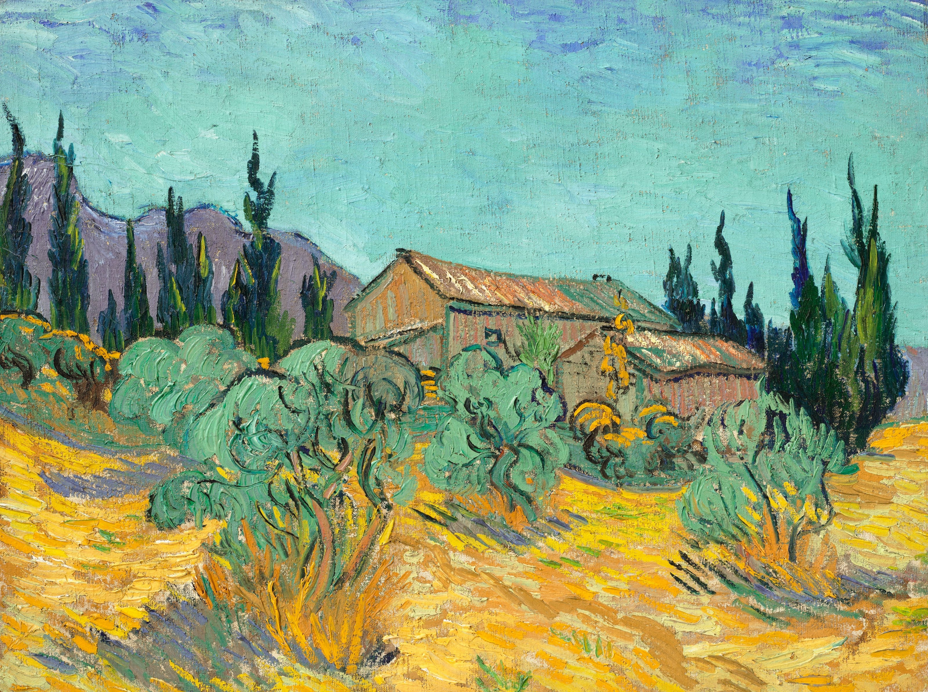 Vincent Van Gogh - Zeytin Ve Servi Ağaçları Arasında Ahşap Kulübeler