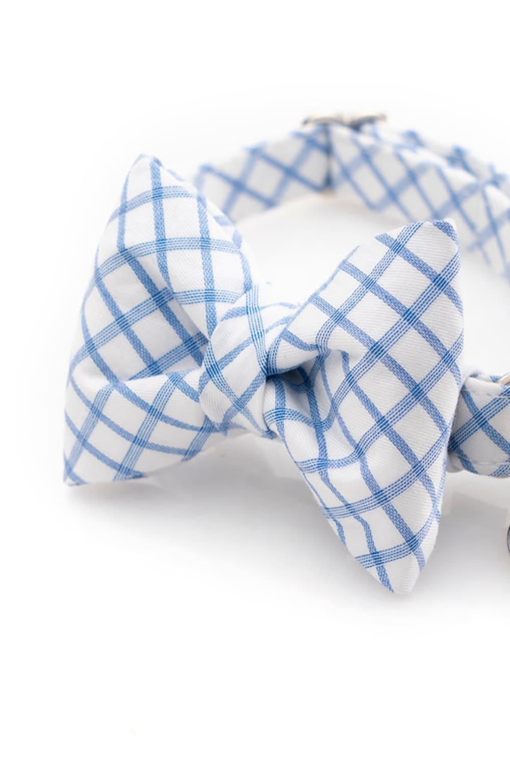 Gliparis-Ovideo Papyonlu Kedi Tasması-Kedi-1-Milagron.com