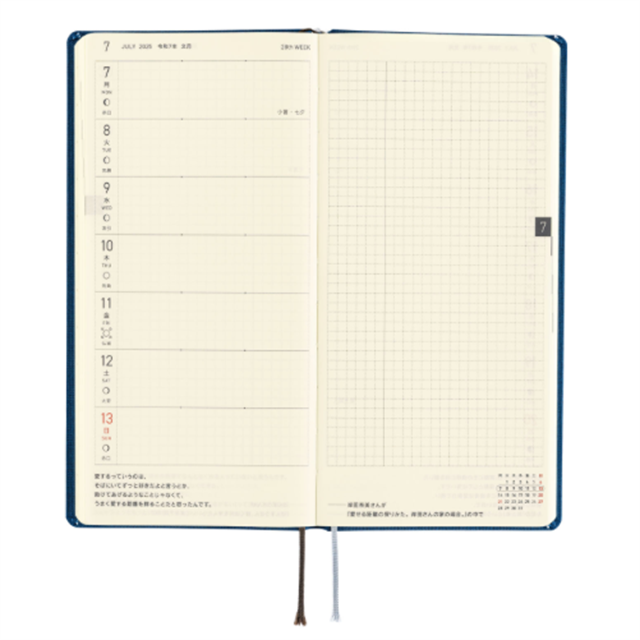 Hobonichi-Hobonichi Techo Weeks 2025 Mega Colors: Star Dust-Çizgili-5-Milagron.com