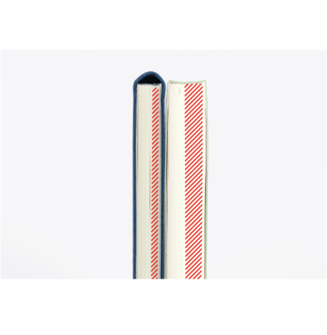 Hobonichi-Hobonichi Techo Weeks Mega B6 Deri Kapak Slim Colors: Rich Purple-Çizgili-13-Milagron.com