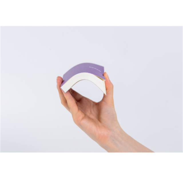 Hobonichi-Hobonichi Techo Weeks Mega B6 Deri Kapak Slim Colors: Rich Purple-Çizgili-14-Milagron.com