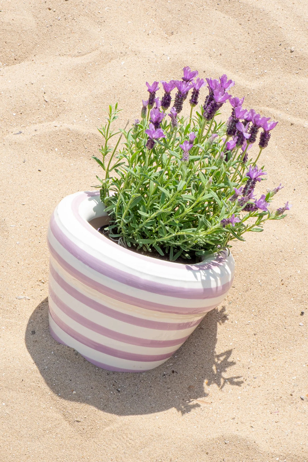 Home Studyo-Strıpes 'Pıerre' - Lavender-Dekoratif Saksı-1-Milagron.com