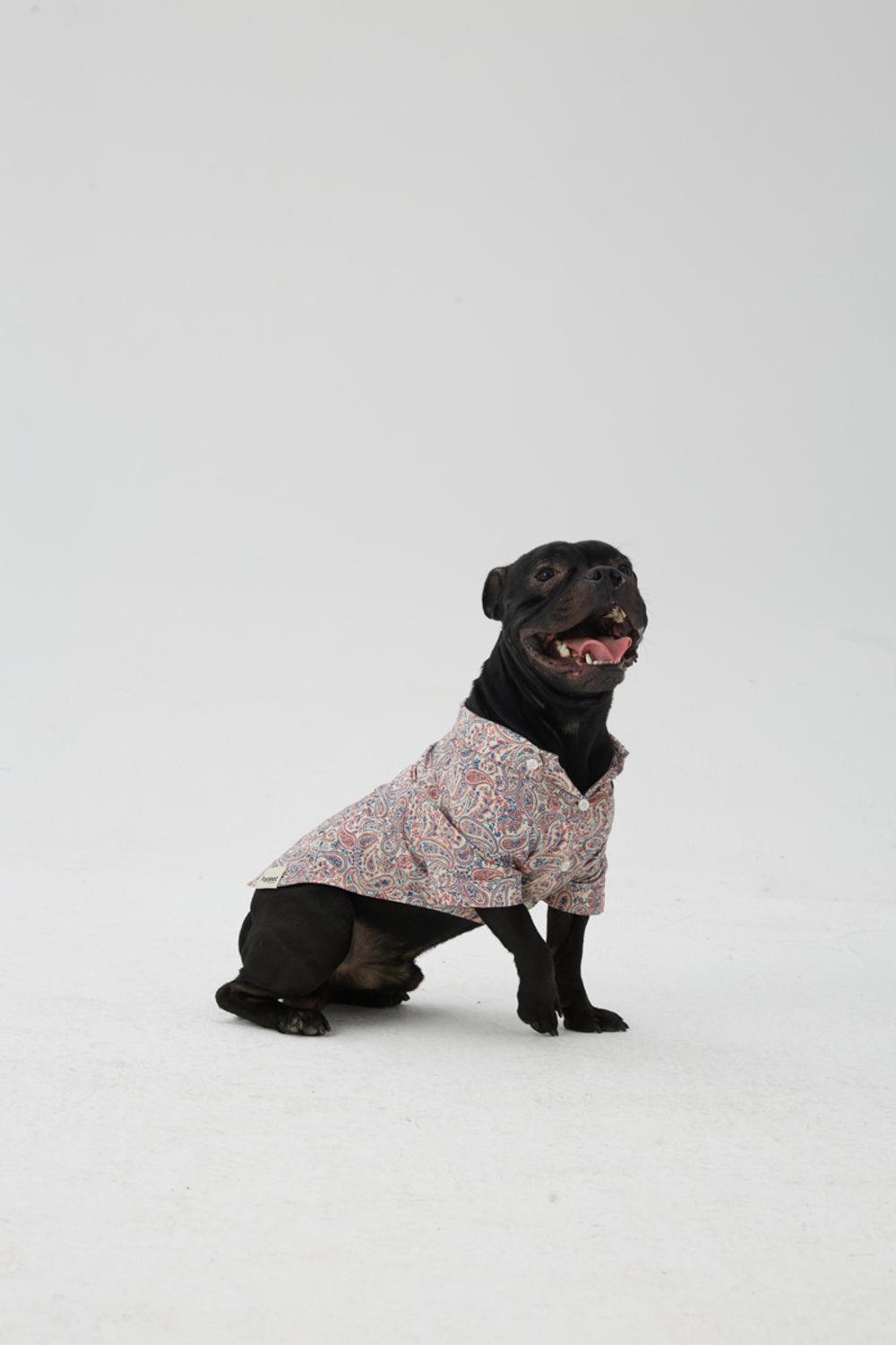 Hypet Fashion-Paisley Gömlek-Köpek-5-Milagron.com