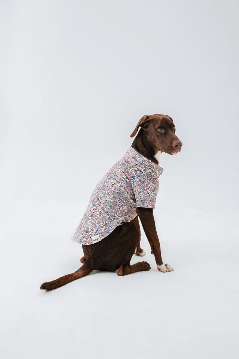 Hypet Fashion-Paisley Gömlek-Köpek-6-Milagron.com