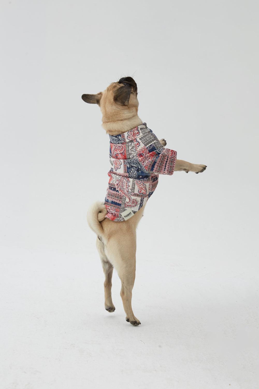 Hypet Fashion-Patchwork Gömlek-Köpek-4-Milagron.com