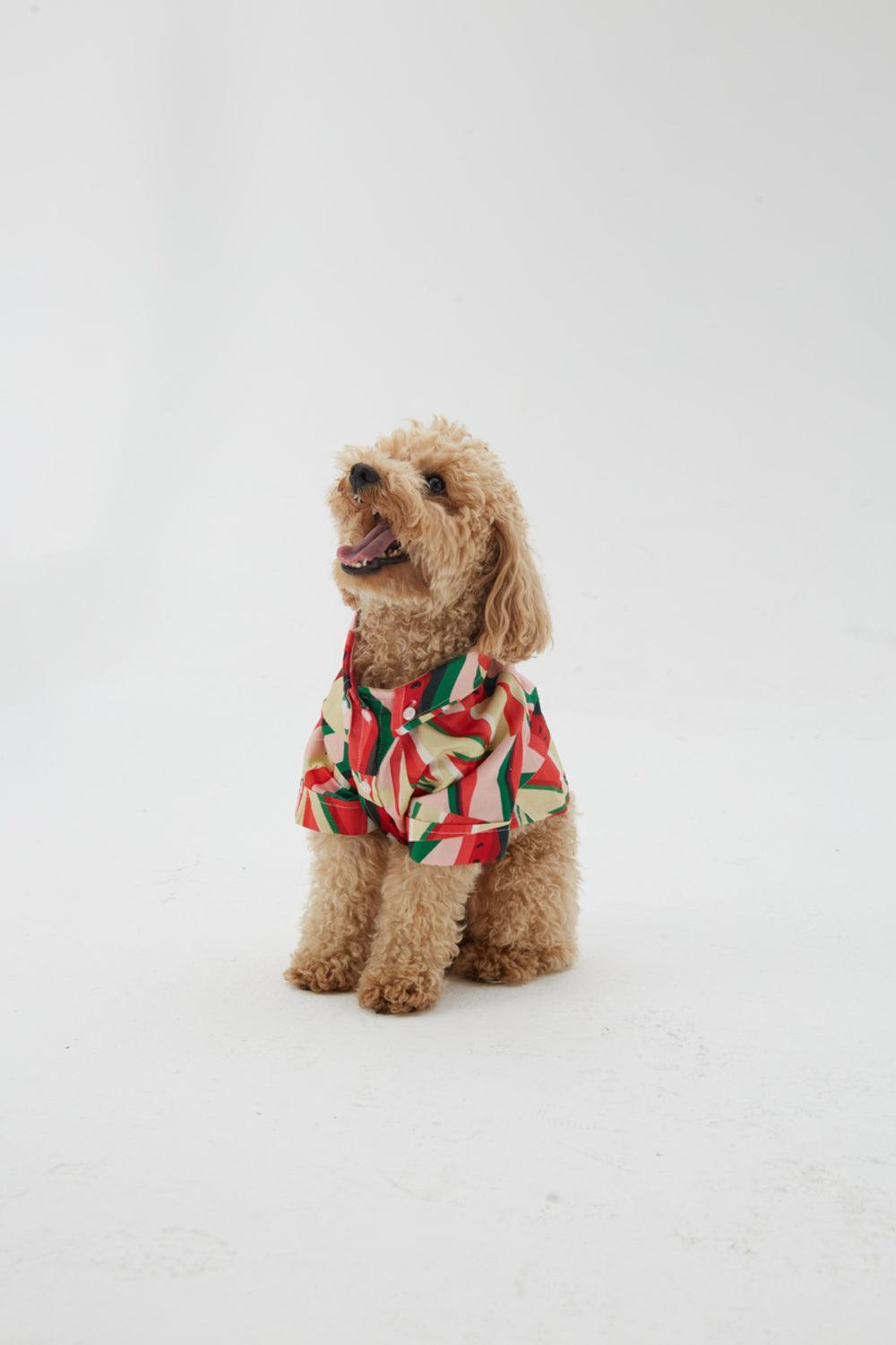 Hypet Fashion-Watermelon Gömlek-Köpek-4-Milagron.com