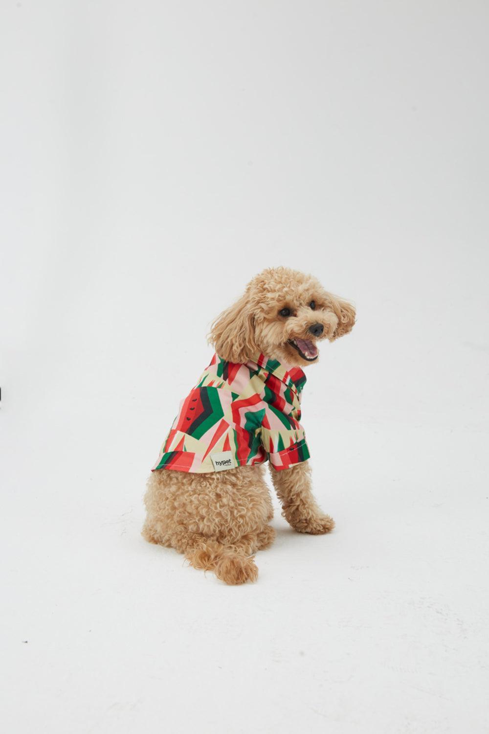 Hypet Fashion-Watermelon Gömlek-Köpek-5-Milagron.com