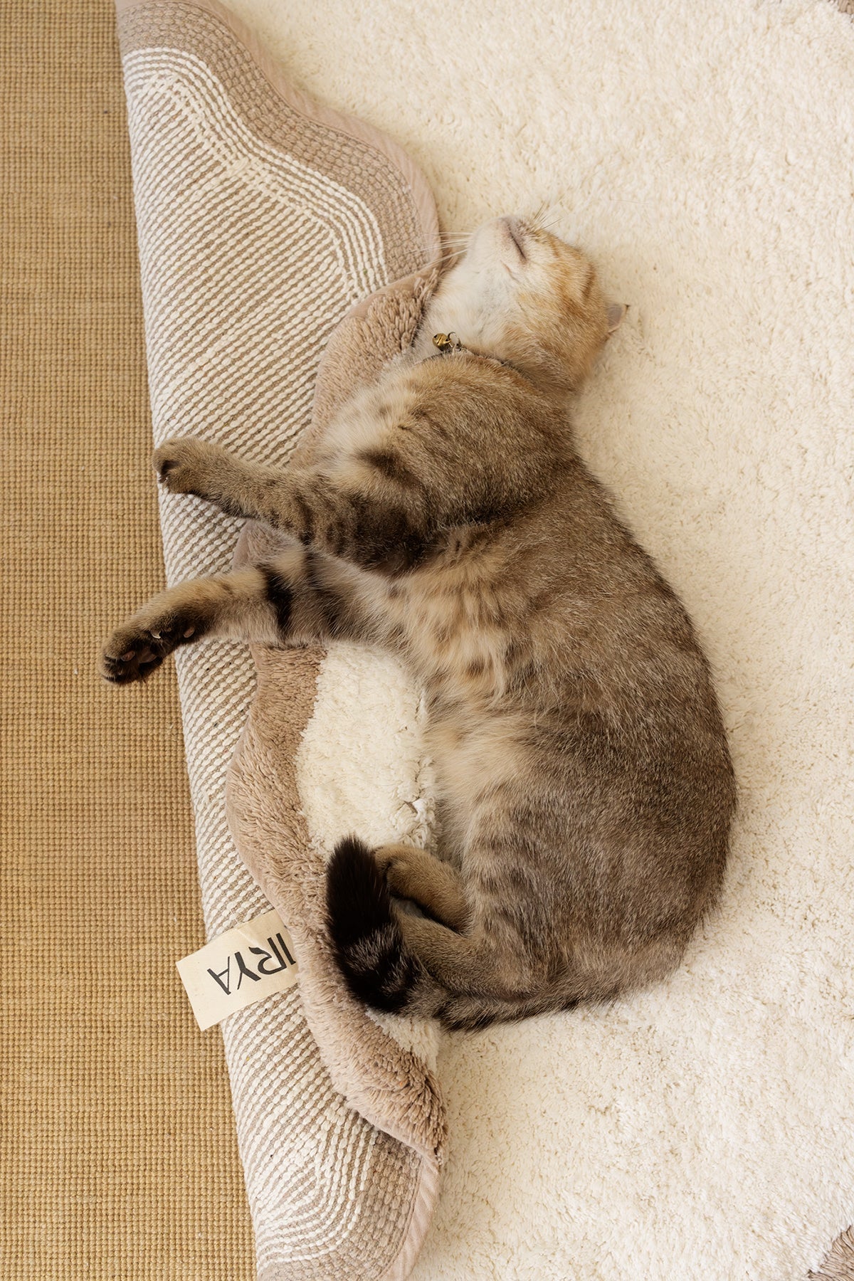 İrya-Scallop Yuvarlak Banyo Paspası Bambu 90x90 Bej-Banyo Paspası-3-Milagron.com