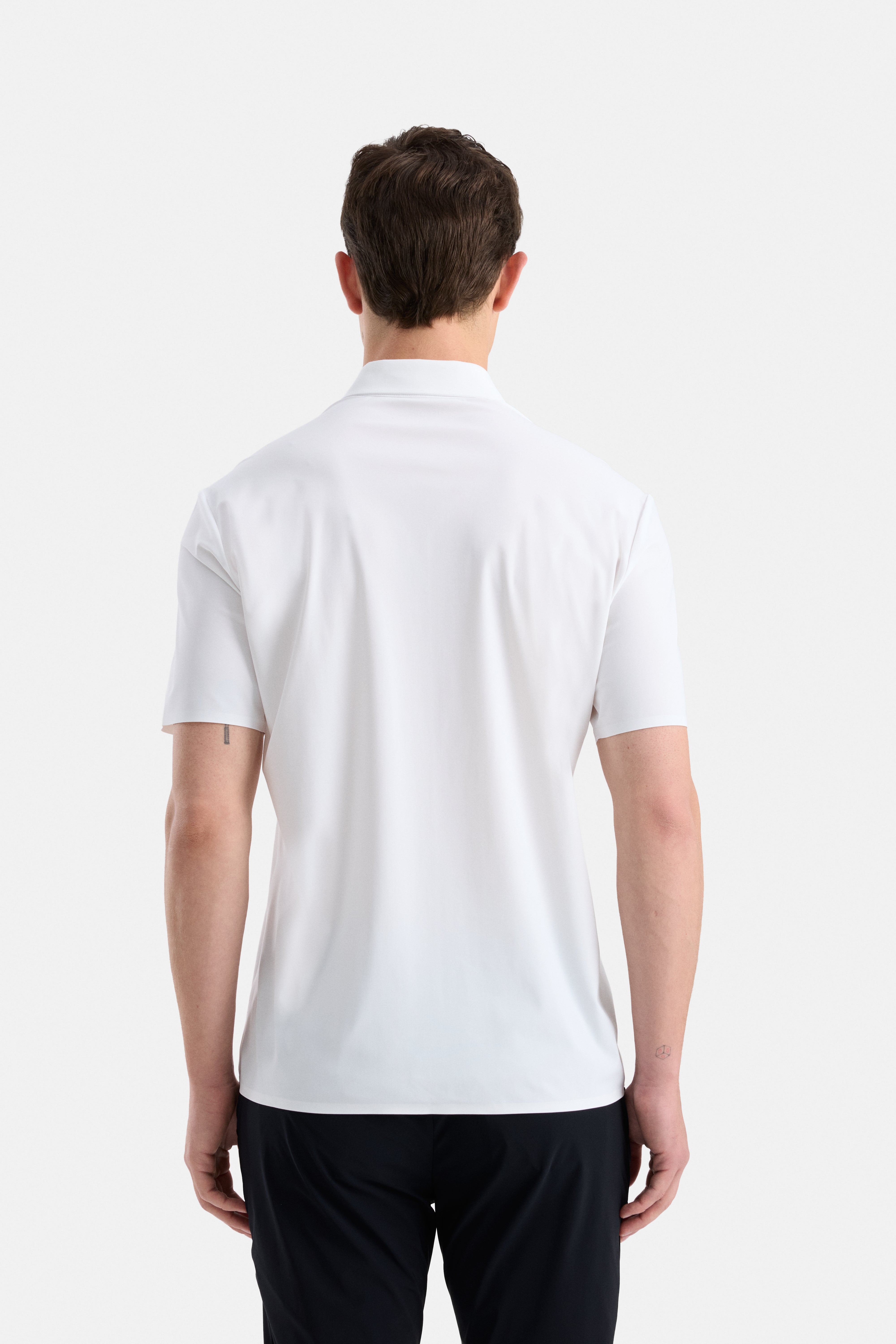Sentient Polo V2