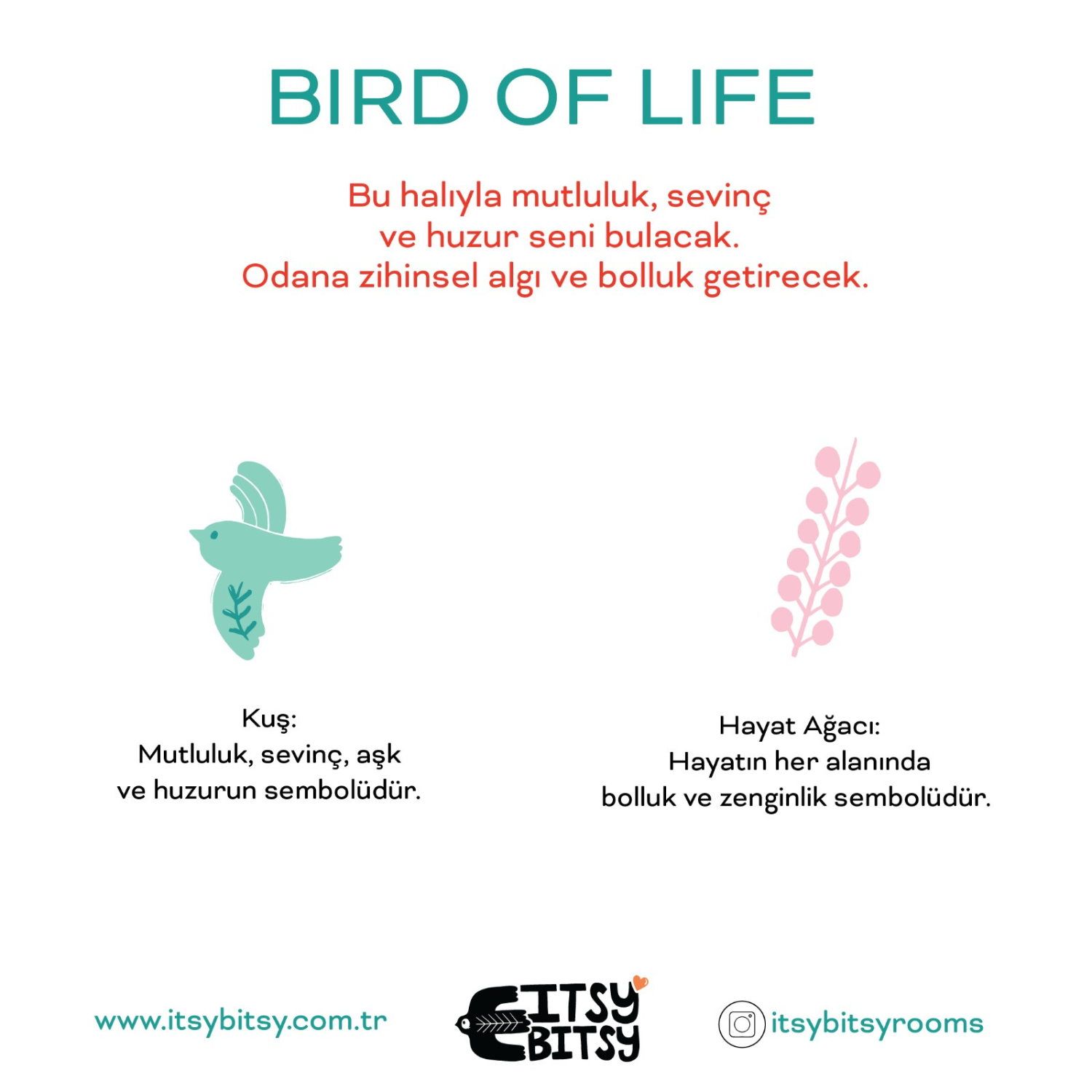 Bird Of Life Mint Yeşili Yıkanabilir Çocuk Halısı - 120X160Cm