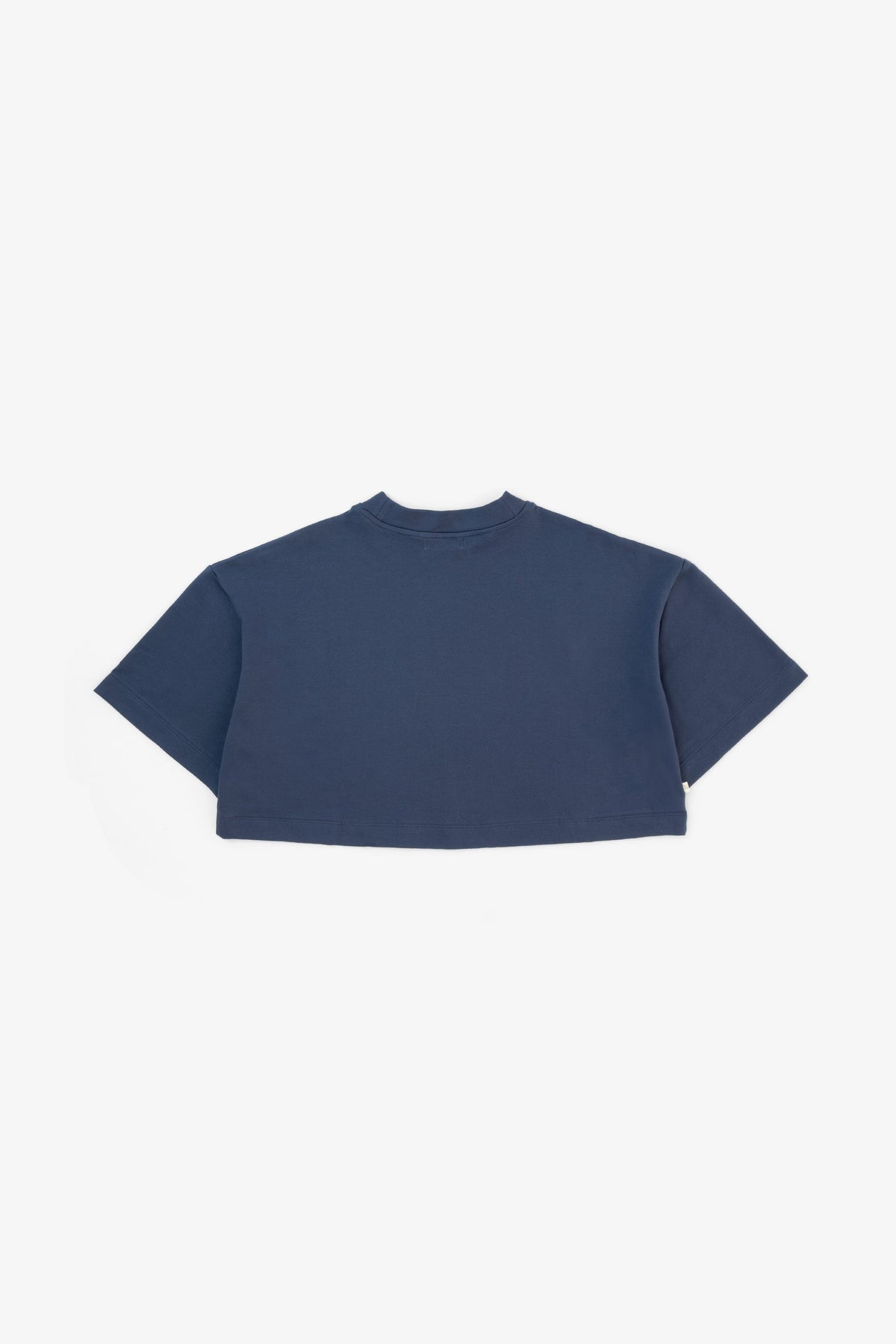 Anesha Crop Basic Tişört