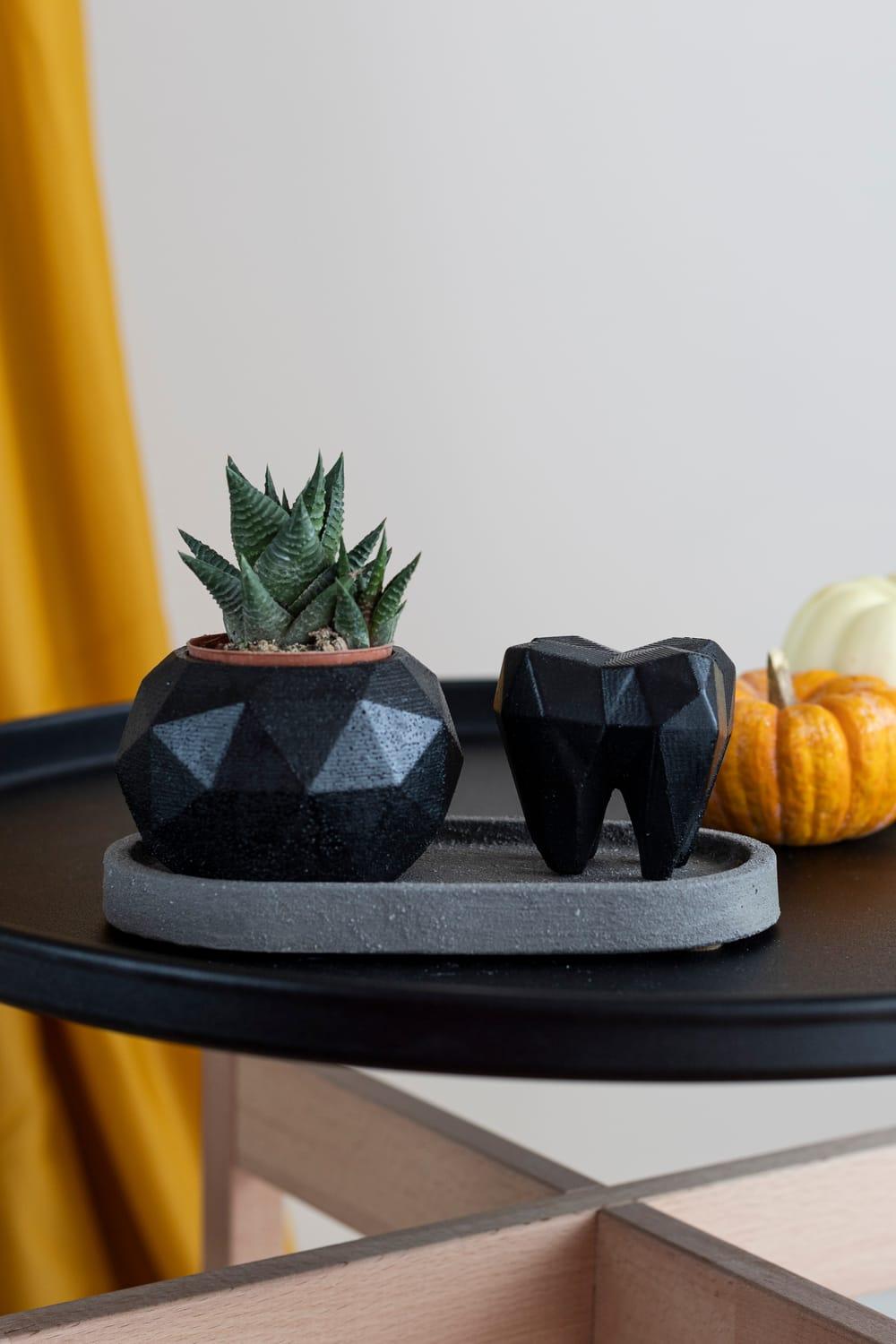 Jomo Tasarım-Beton Diş Saksı Seti-Biblo-1-Milagron.com