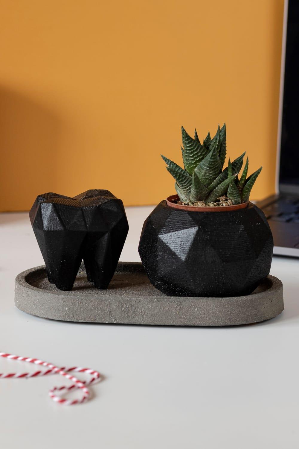 Jomo Tasarım-Beton Diş Saksı Seti-Biblo-2-Milagron.com