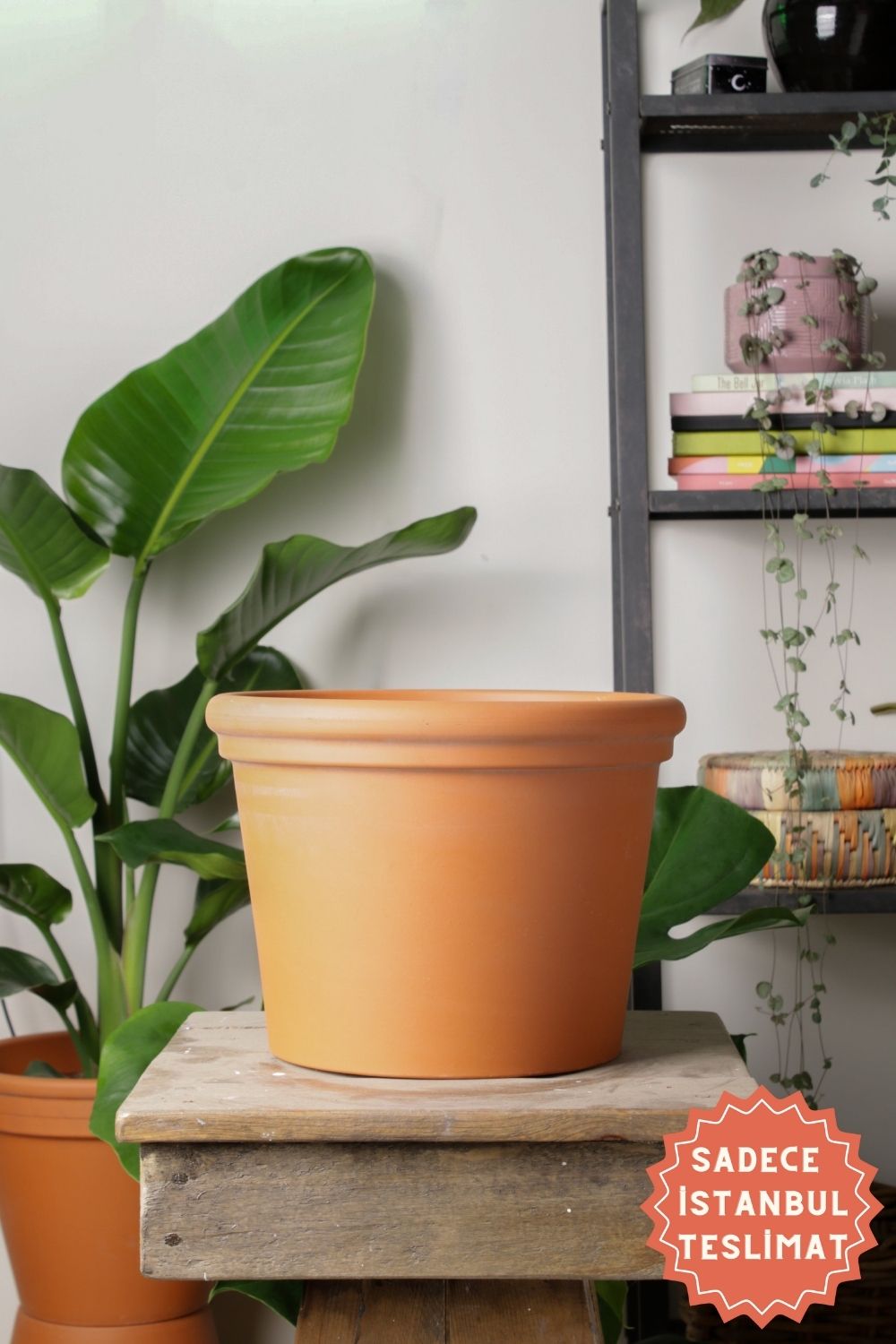 Jungleous-Bevel Saksı 28 cm-Saksı-1-Milagron.com