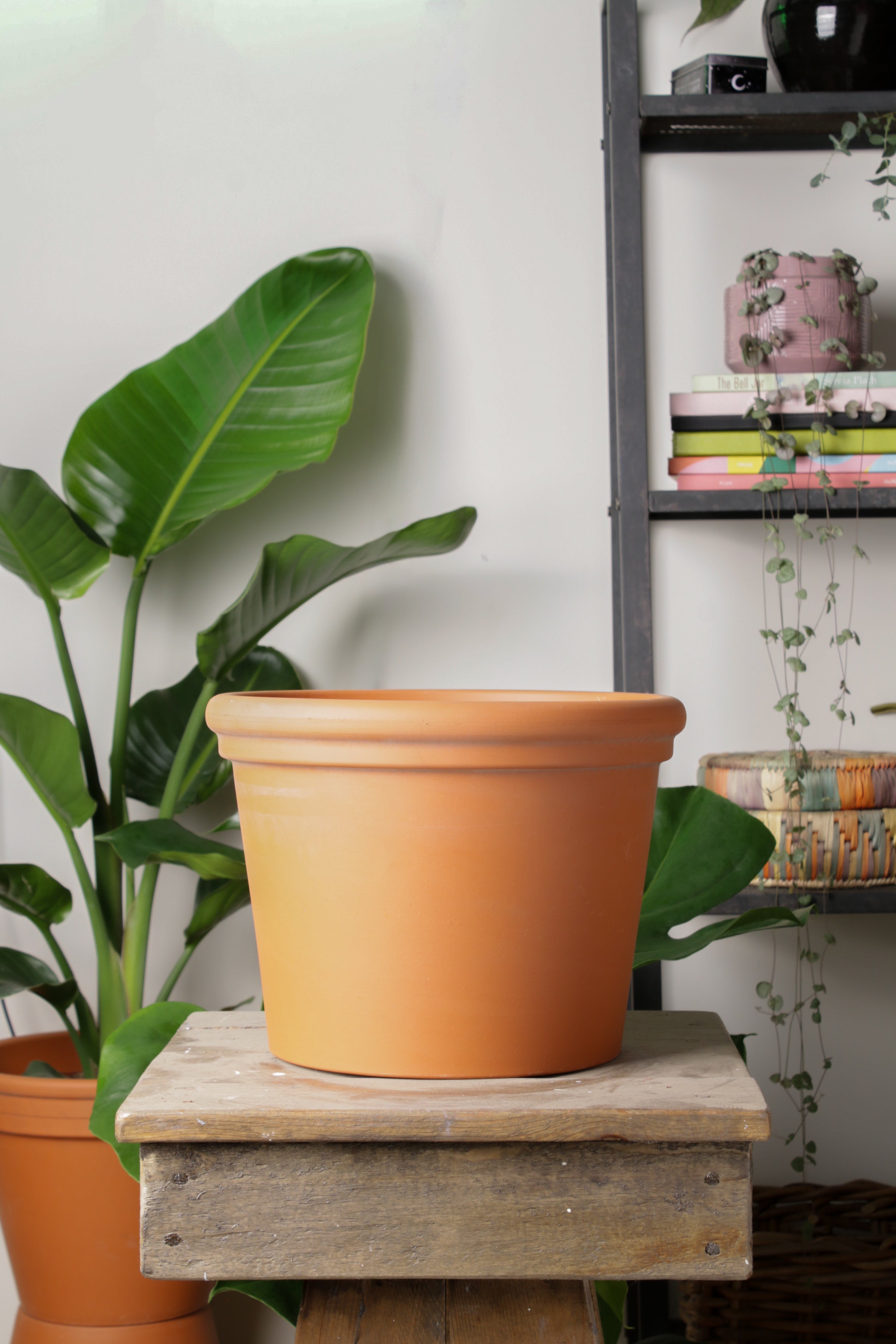 Jungleous-Bevel Saksı 28 cm-Saksı-2-Milagron.com