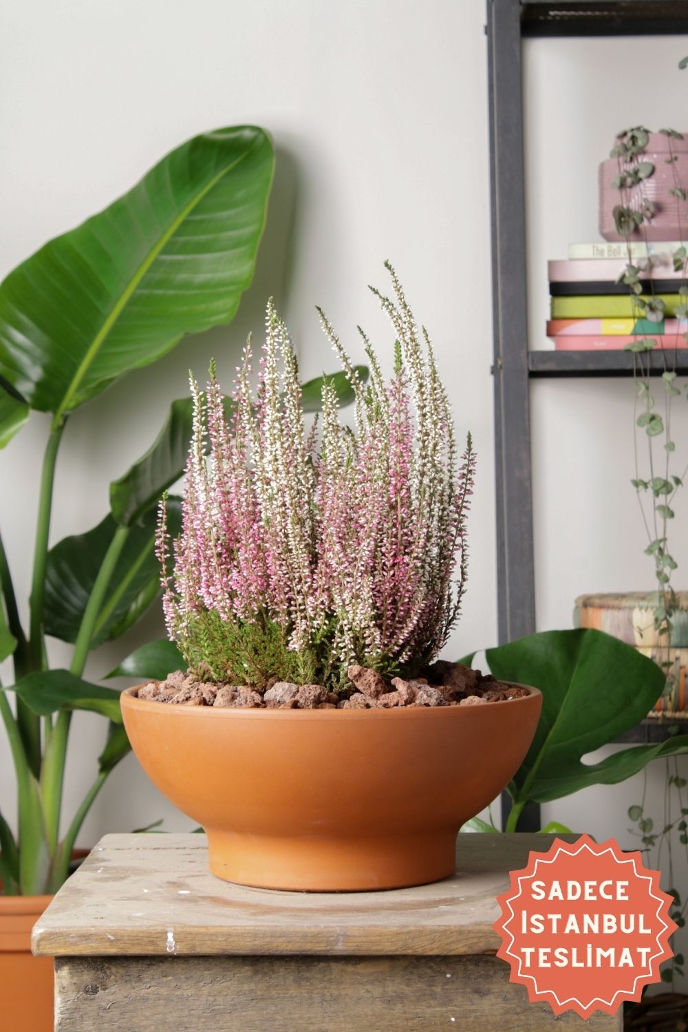 Jungleous-Bowl Saksı 26 cm-Saksı-1-Milagron.com