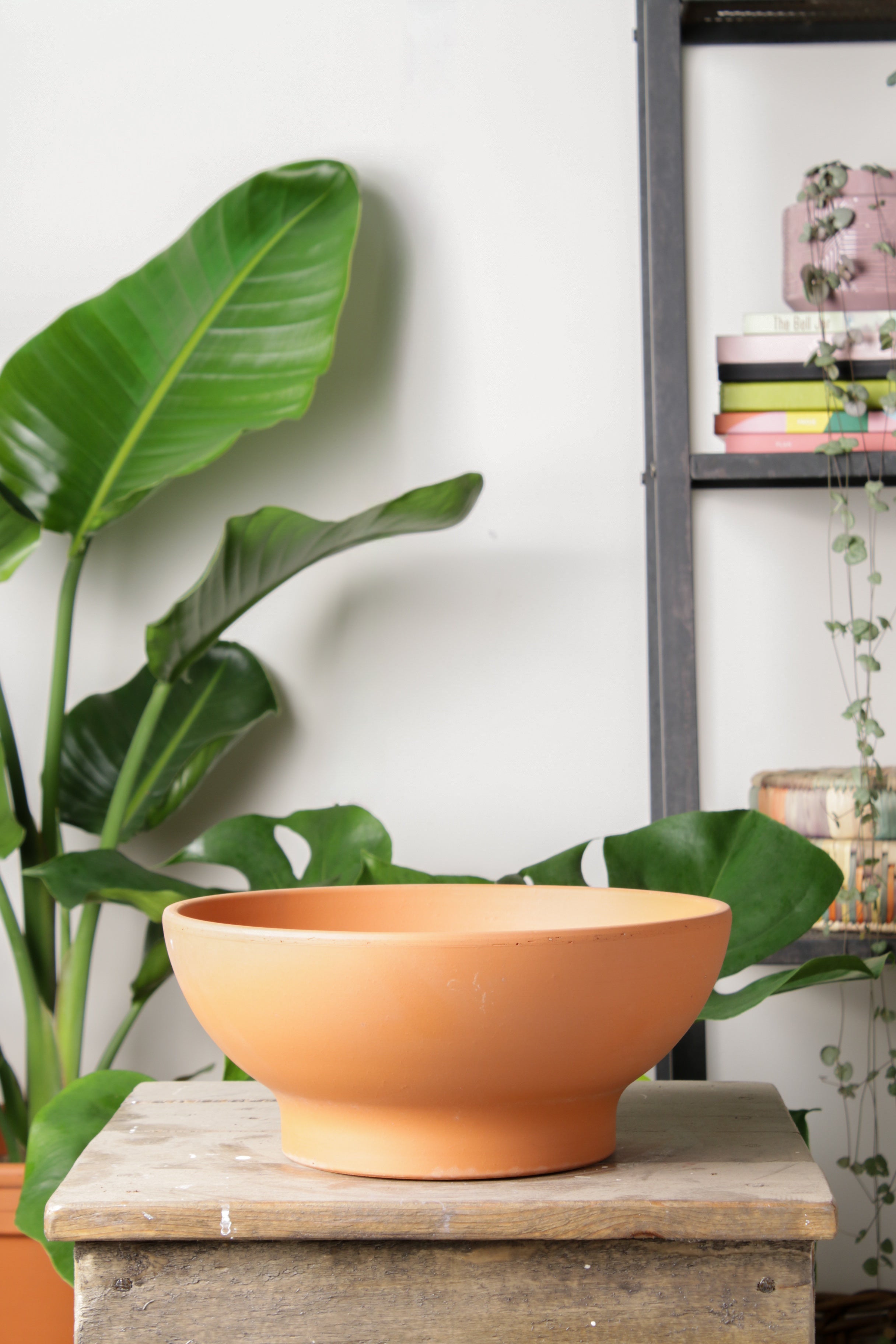 Jungleous-Bowl Saksı 26 cm-Saksı-2-Milagron.com