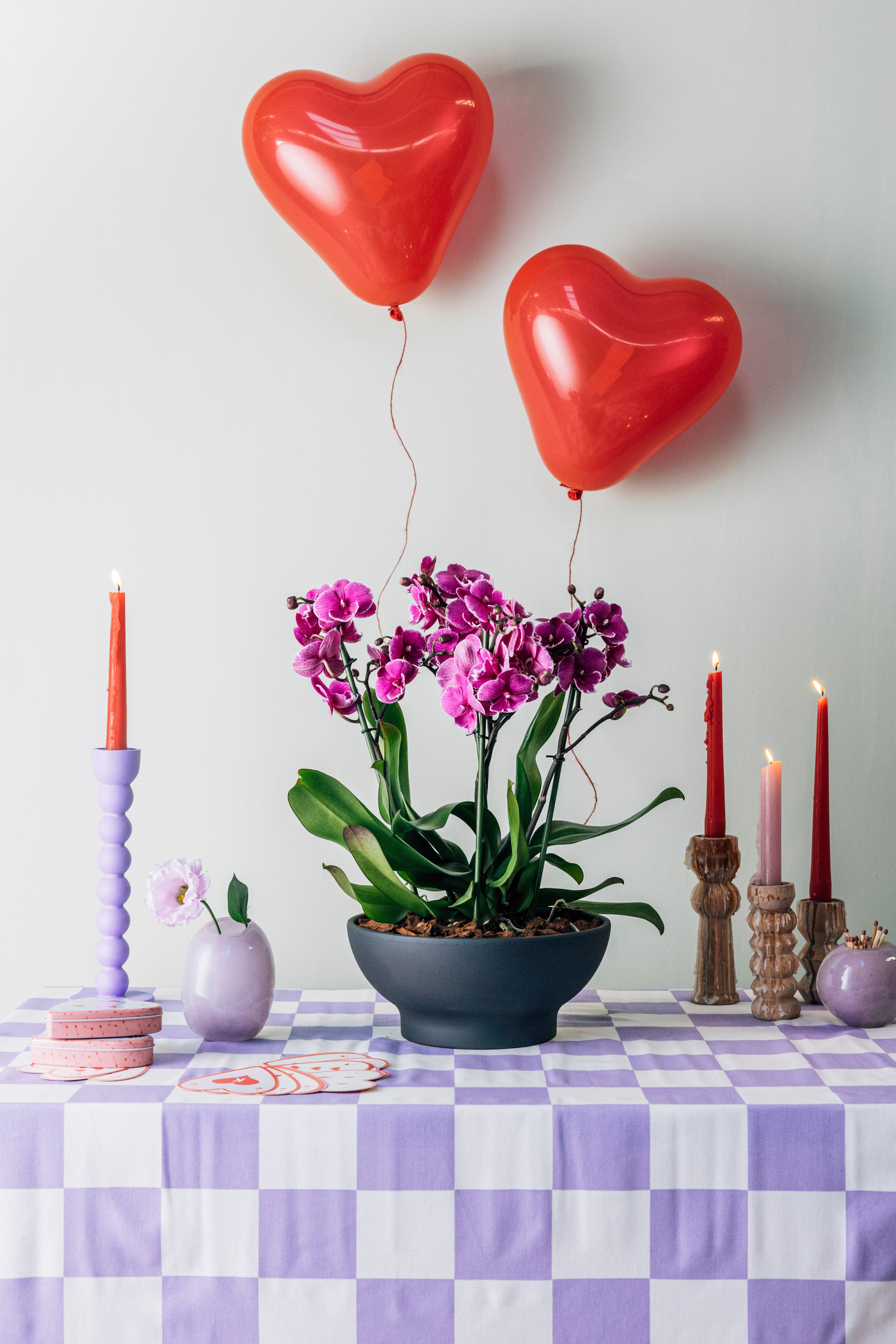 Jungleous-Bowl Saksı 26cm Coal-Saksı-3-Milagron.com