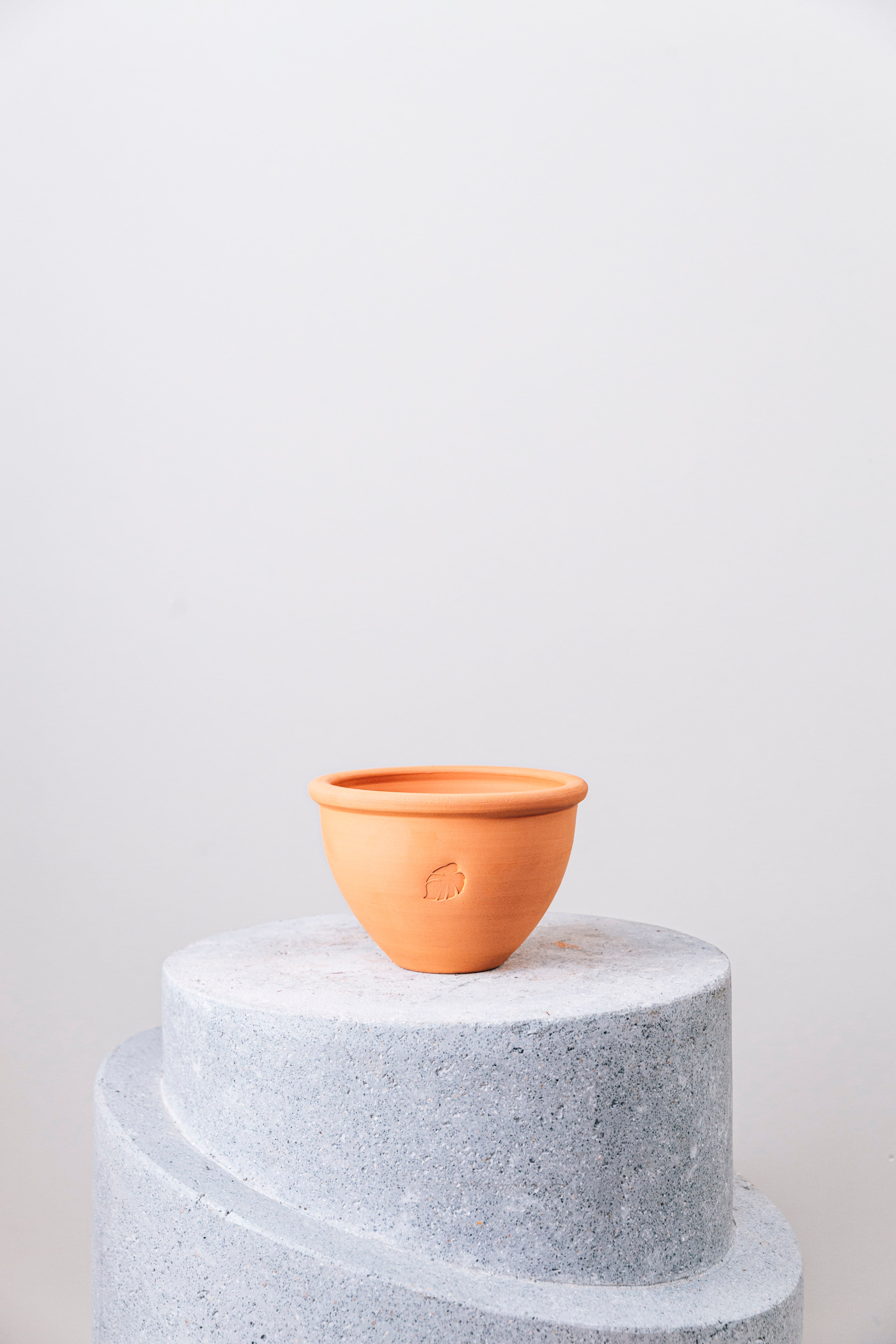 Jungleous-Çanak Saksı Küçük (Tabaklı)-Saksı-2-Milagron.com