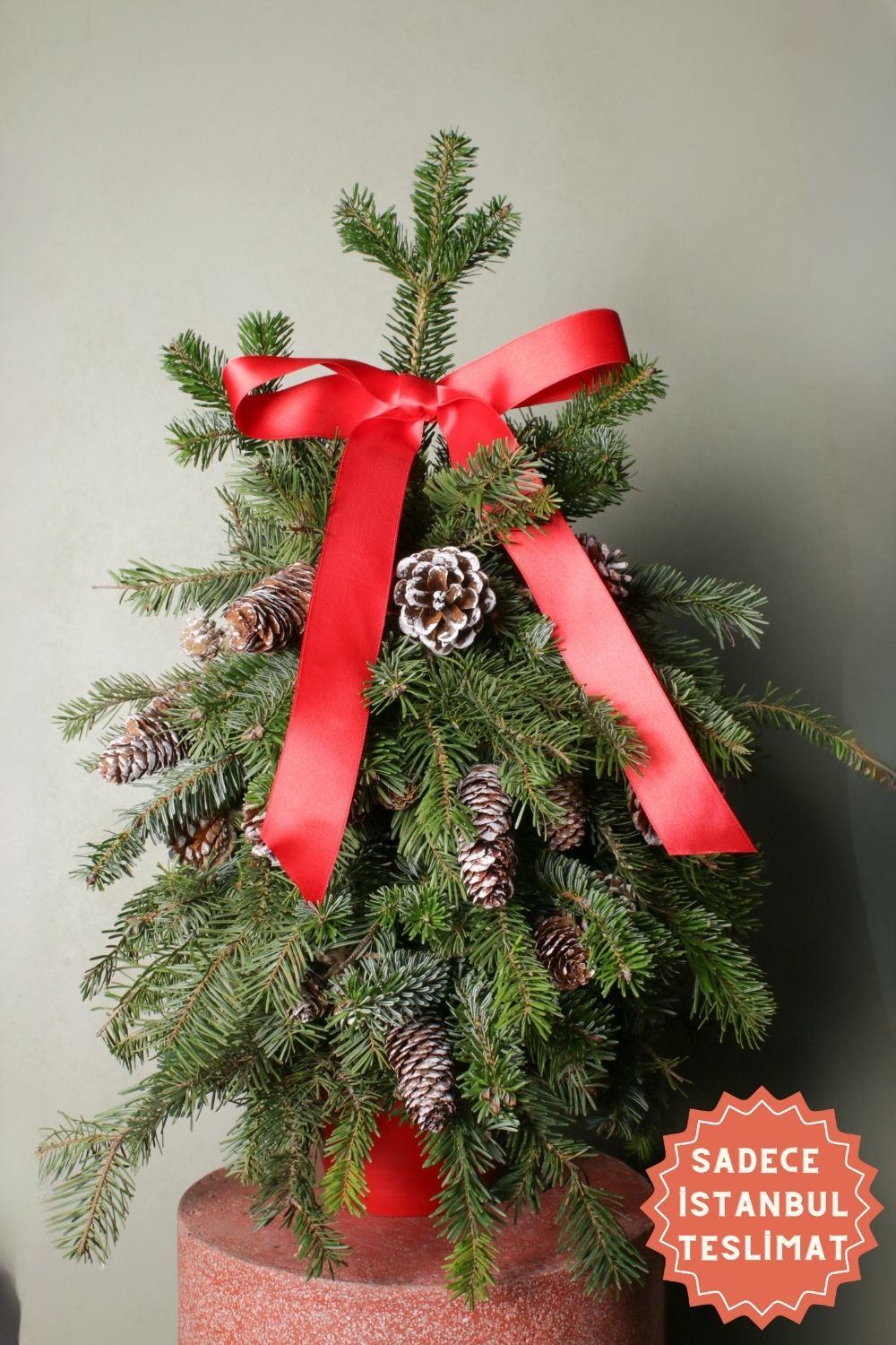 Jungleous-Christmas Tree - El Yapımı Çam Ağacı-Bitki-1-Milagron.com