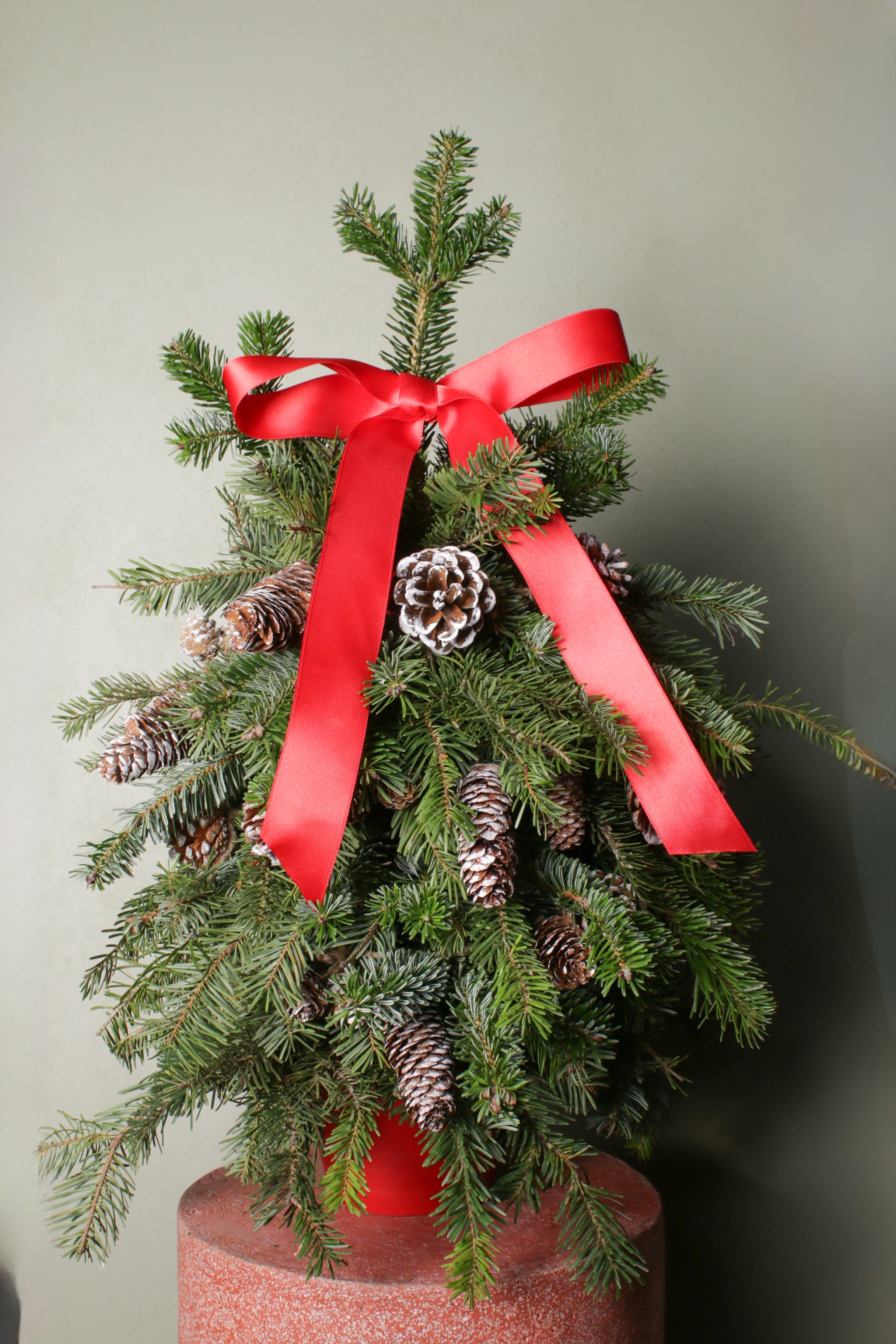 Jungleous-Christmas Tree - El Yapımı Çam Ağacı-Bitki-2-Milagron.com