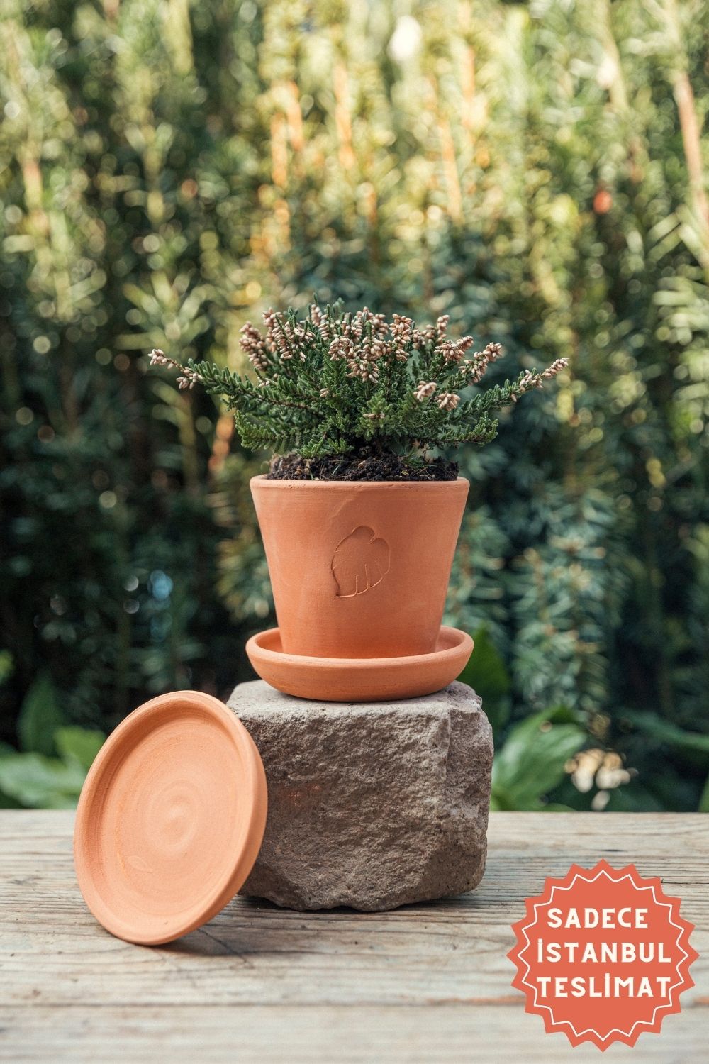 Jungleous-Clay Saksı 10 cm (Tabaklı)-Saksı-1-Milagron.com