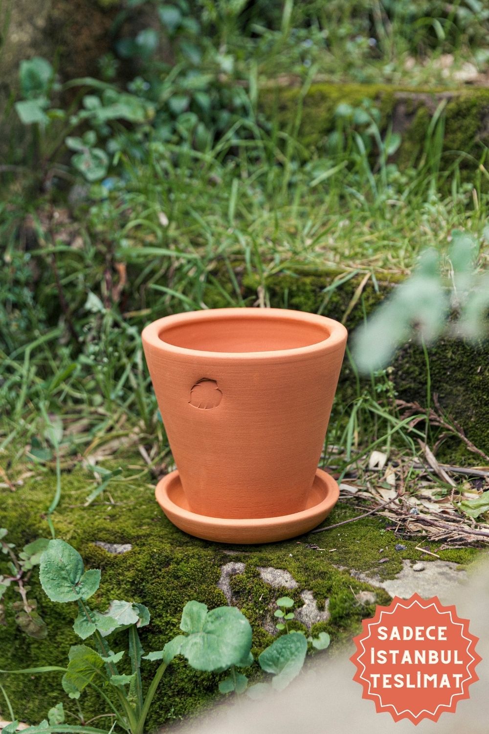 Jungleous-Clay Saksı 17 cm (Tabaklı)-Saksı-1-Milagron.com