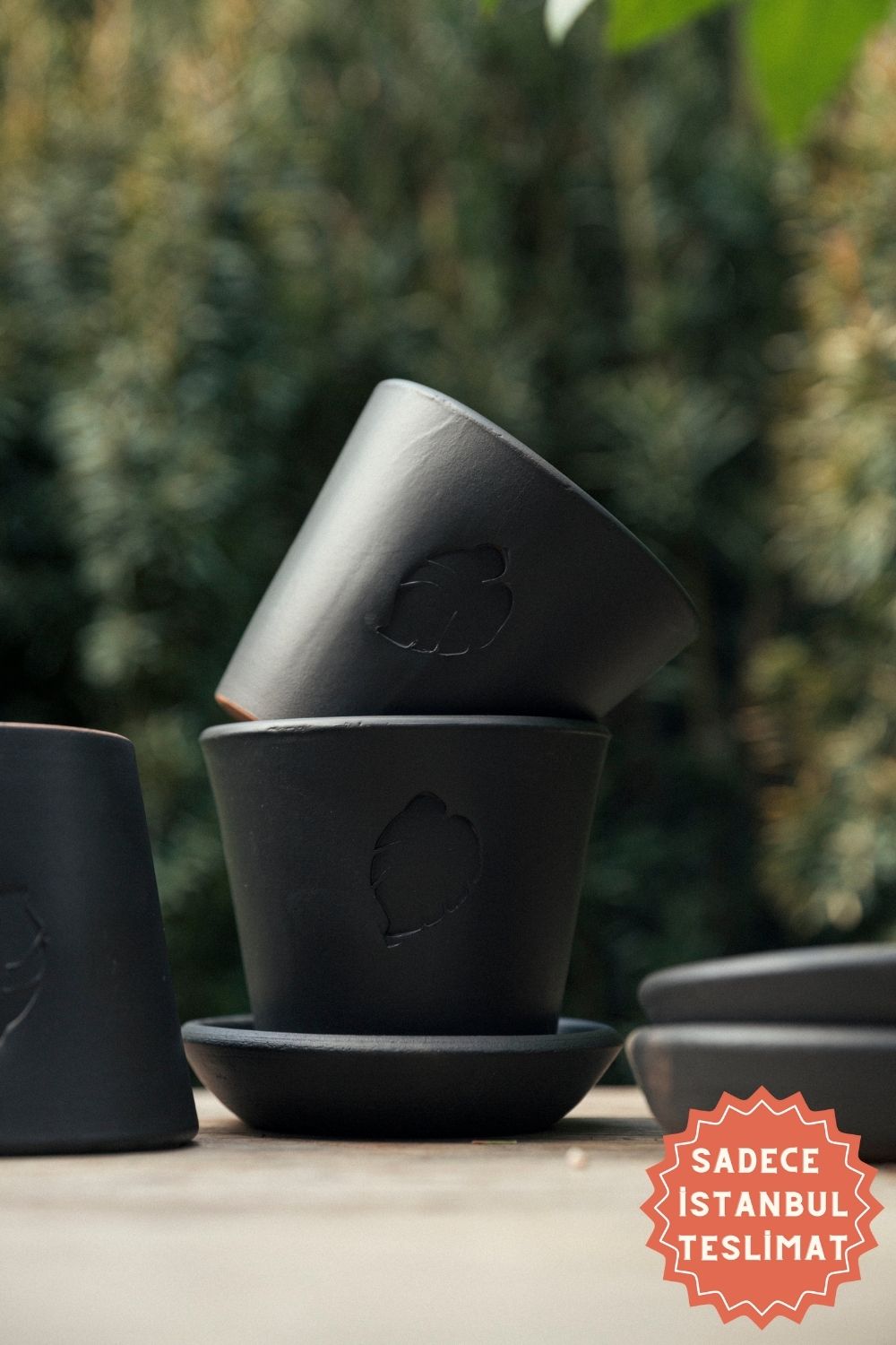 Jungleous-Coal Saksı 10 cm (Tabaklı)-Saksı-1-Milagron.com