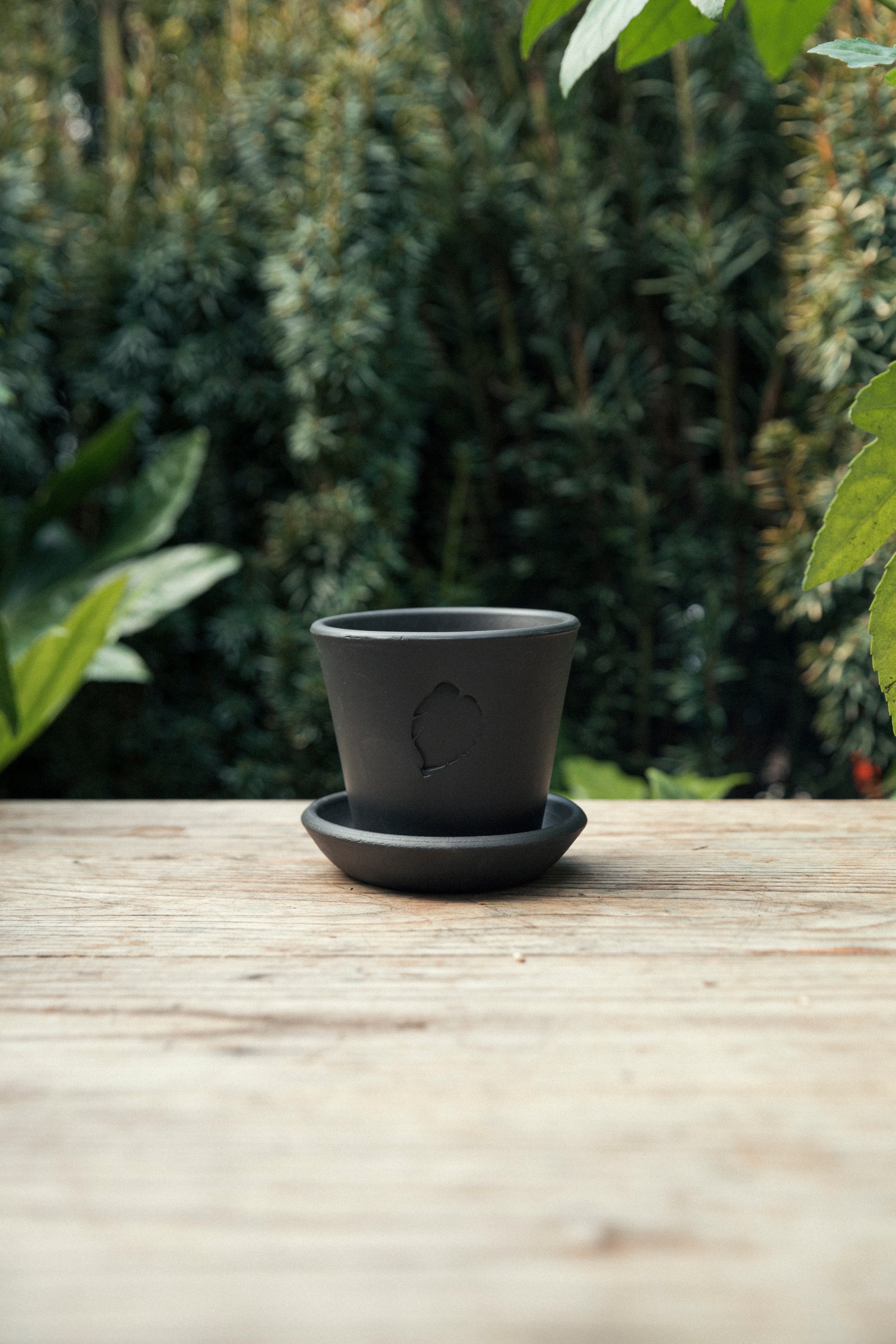 Jungleous-Coal Saksı 10 cm (Tabaklı)-Saksı-3-Milagron.com