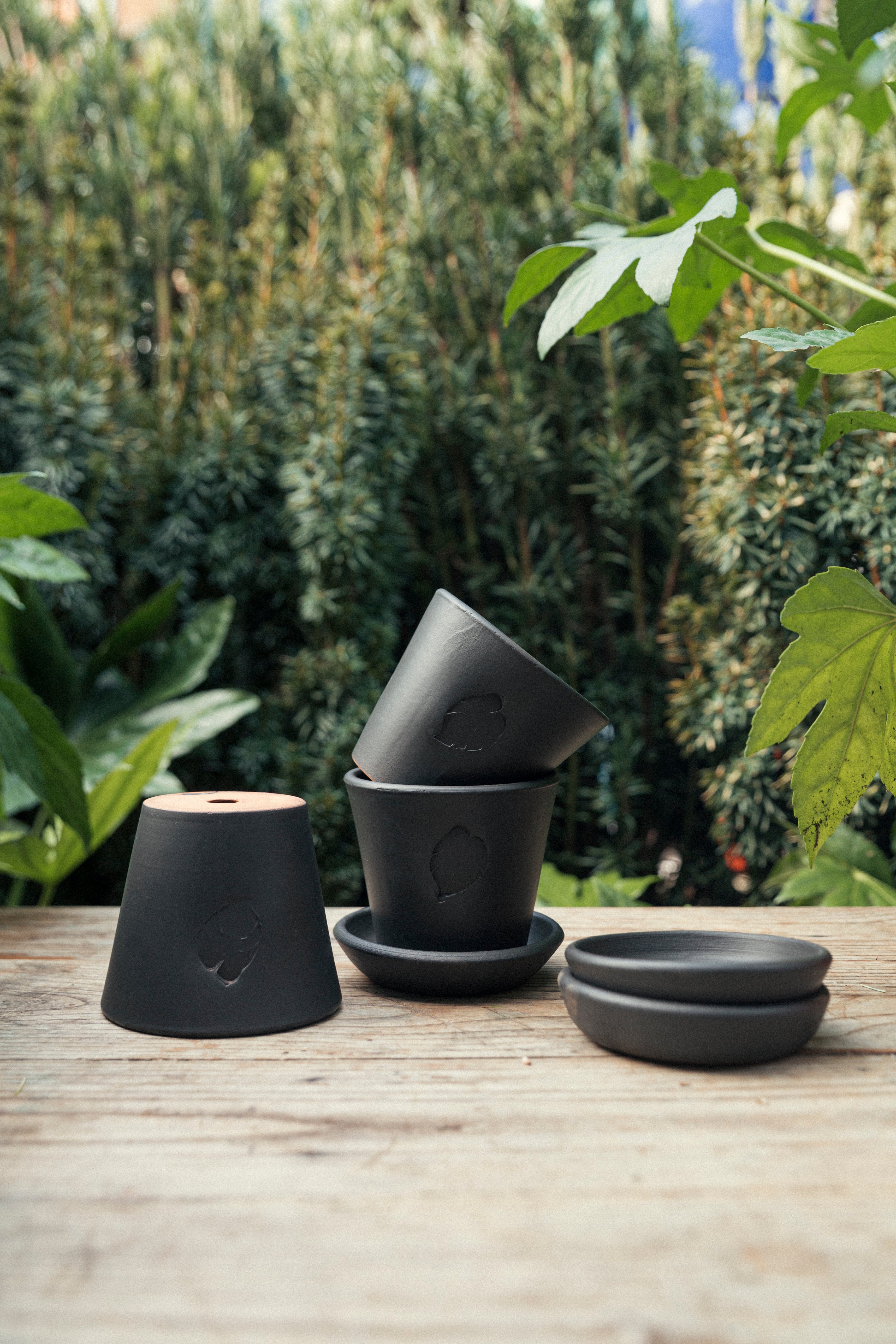 Jungleous-Coal Saksı 10 cm (Tabaklı)-Saksı-4-Milagron.com