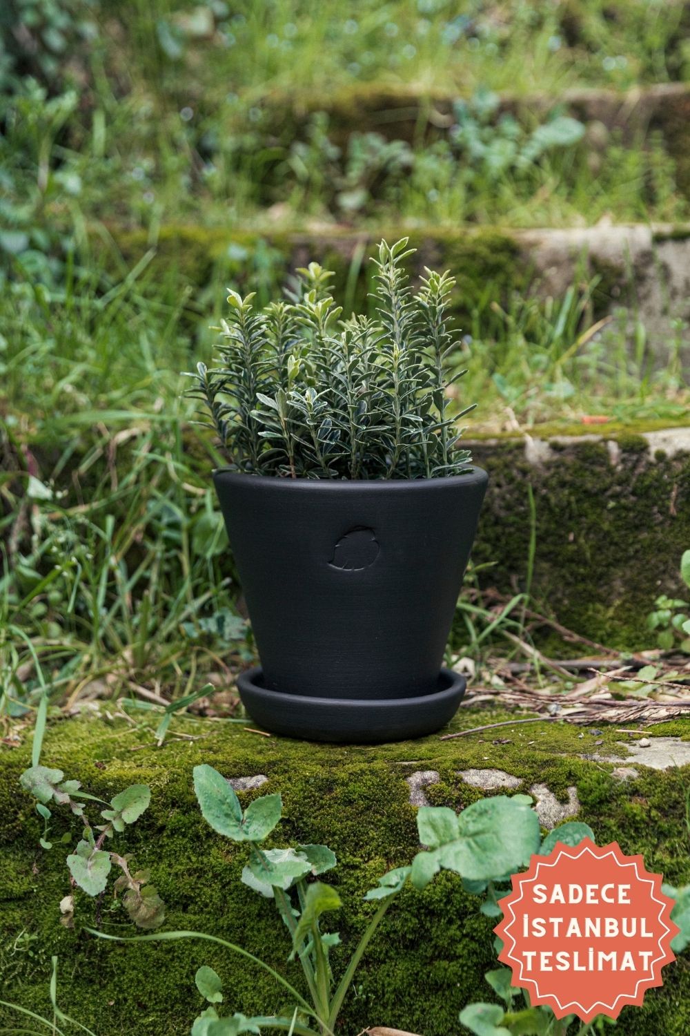 Jungleous-Coal Saksı 17 cm (Tabaklı)-Saksı-1-Milagron.com