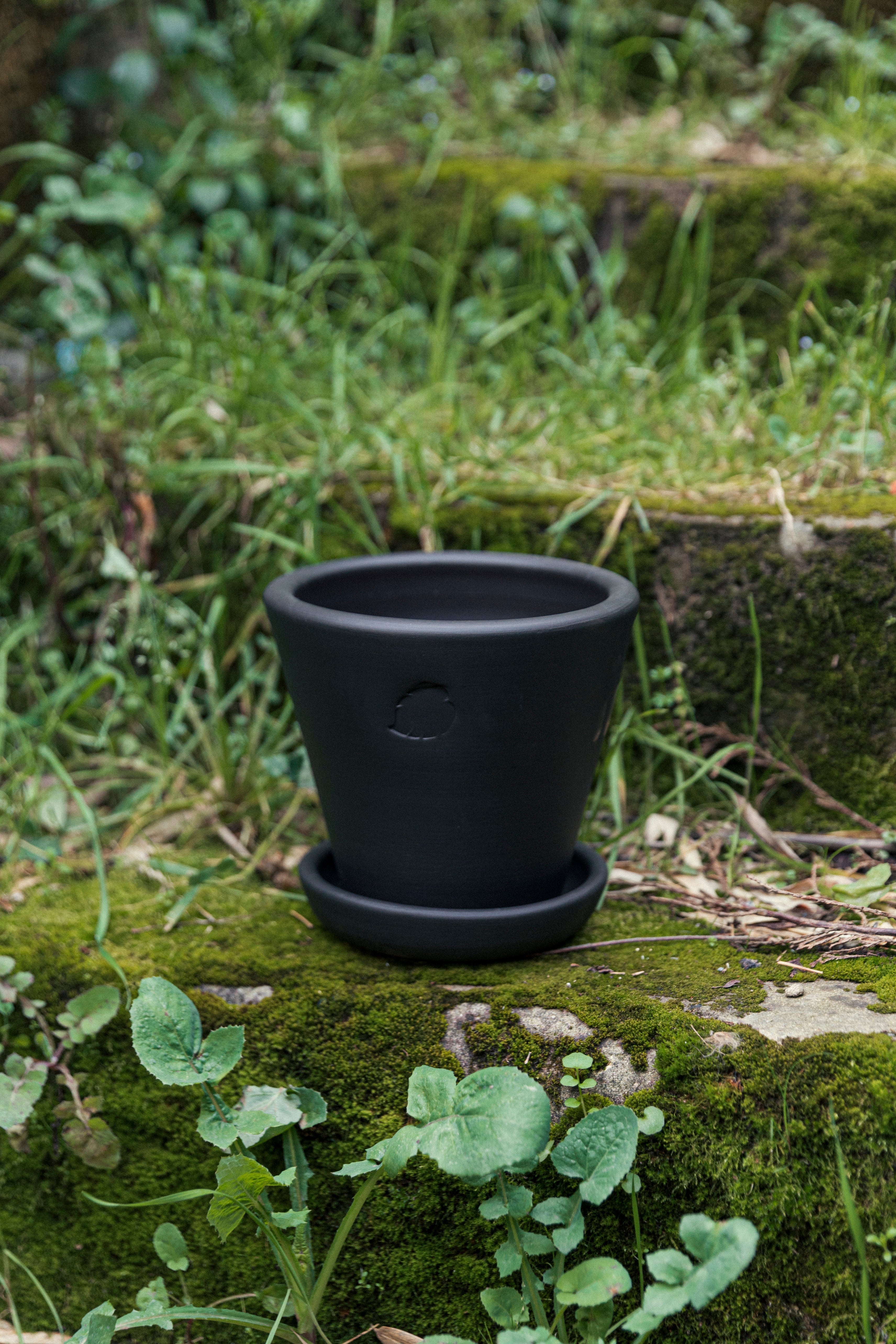 Jungleous-Coal Saksı 17 cm (Tabaklı)-Saksı-3-Milagron.com