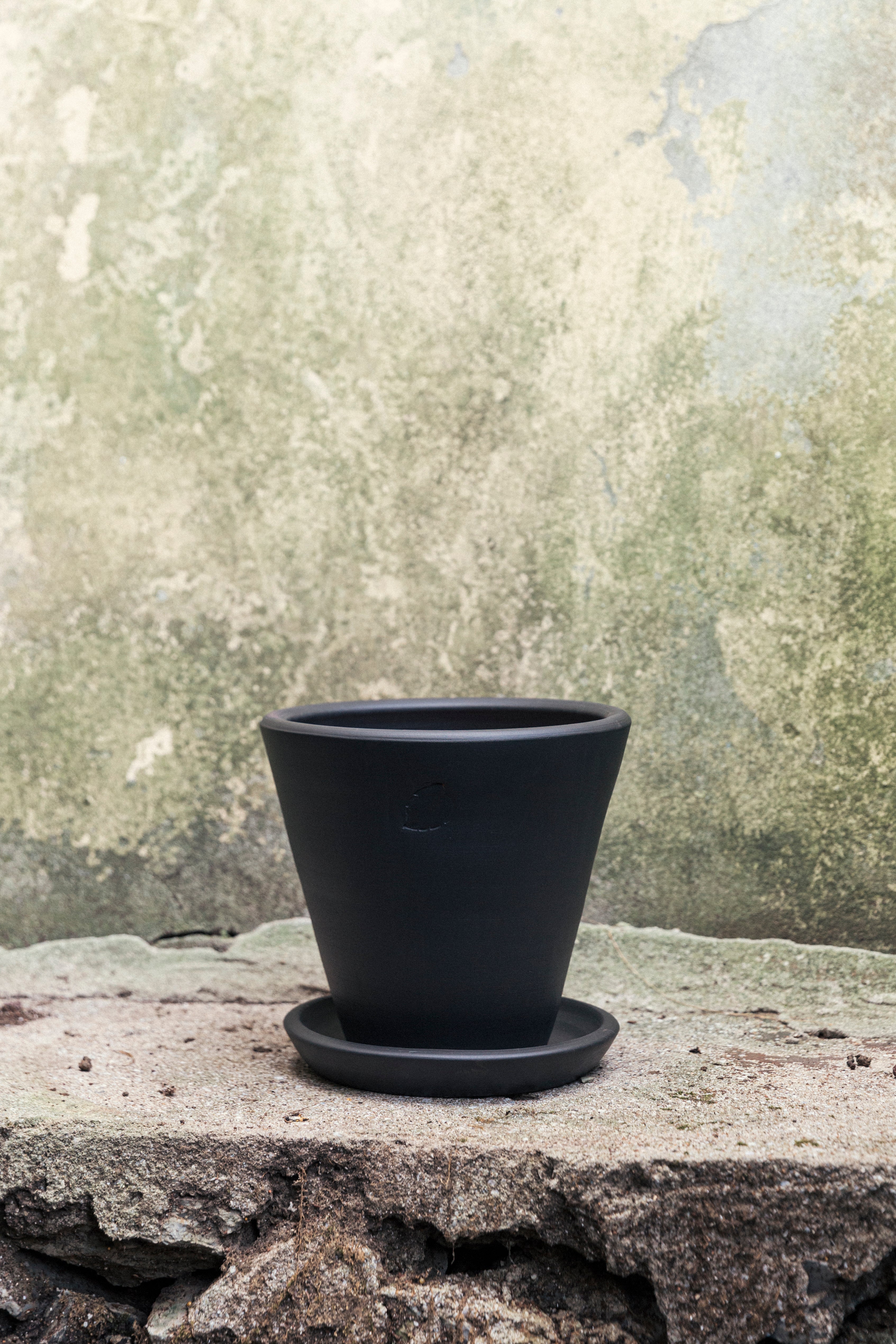 Jungleous-Coal Saksı 22 cm (Tabaklı)-Saksı-3-Milagron.com