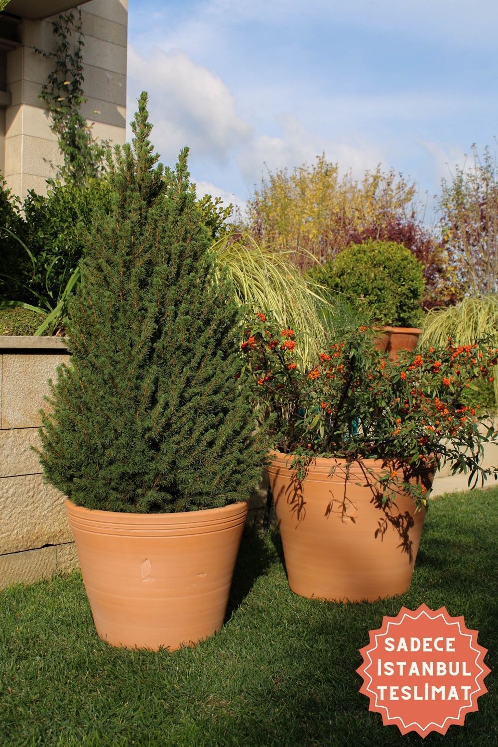 Jungleous-Cucina Saksı L-Saksı-1-Milagron.com