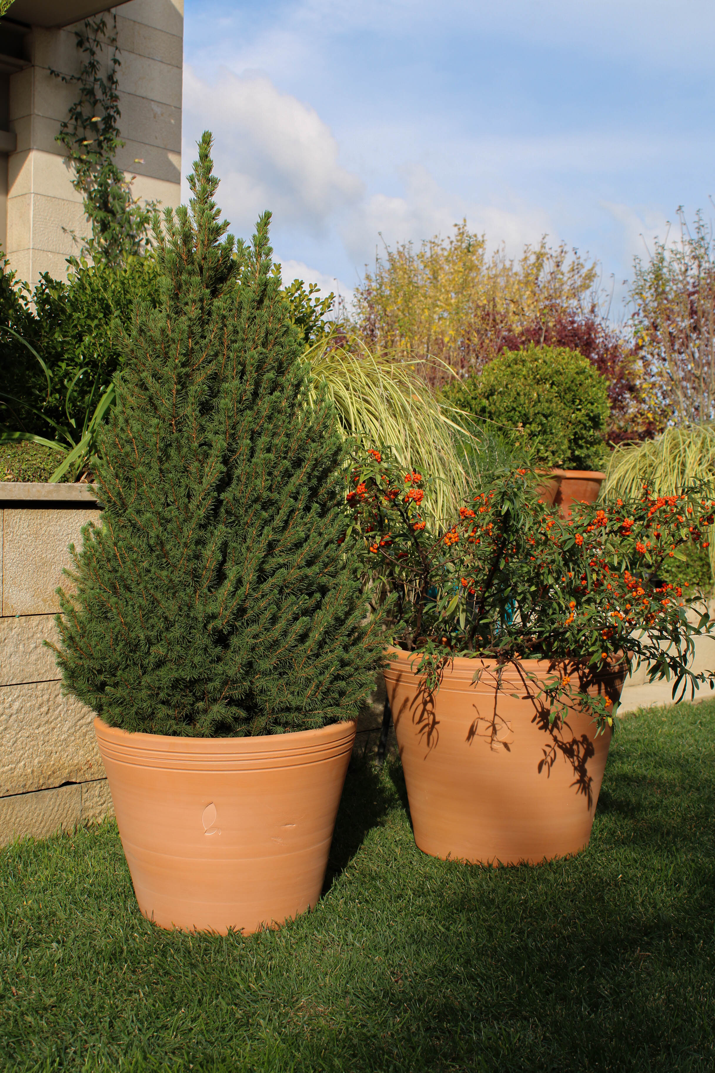 Jungleous-Cucina Saksı L-Saksı-2-Milagron.com