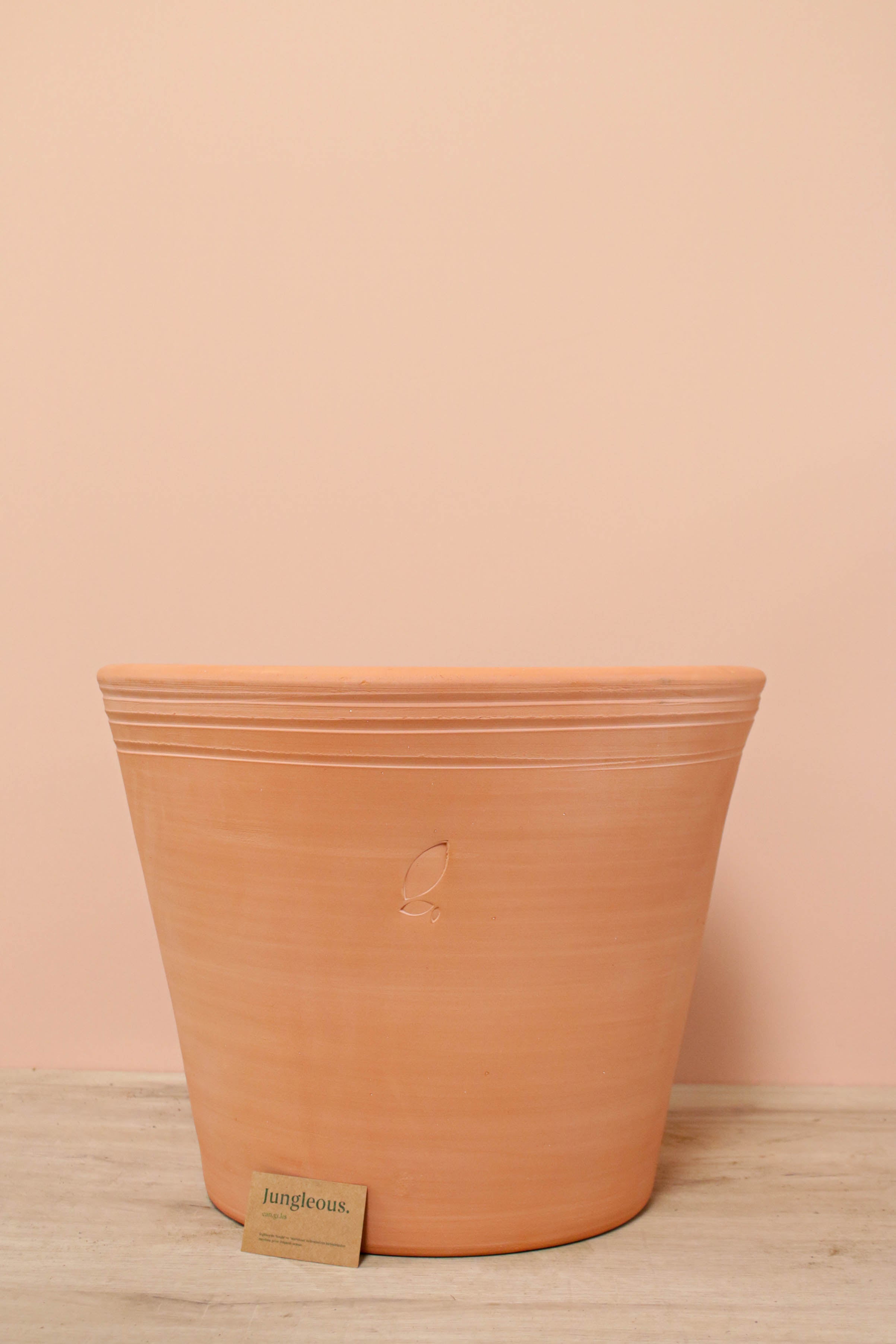 Jungleous-Cucina Saksı L-Saksı-3-Milagron.com