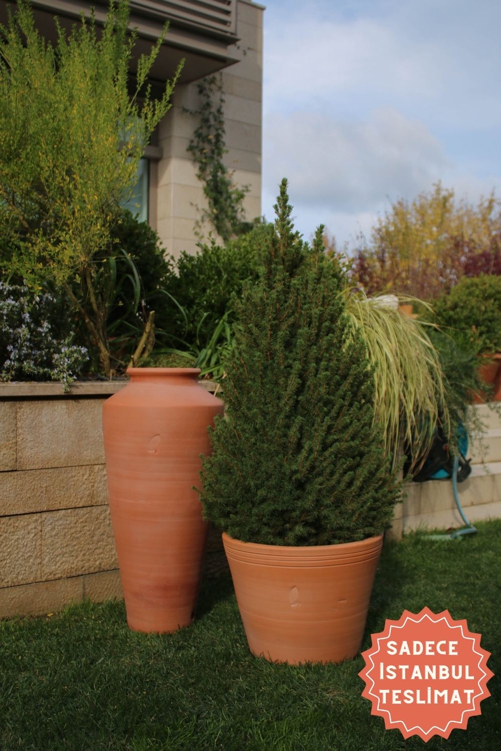 Jungleous-Cucina Saksı S-Saksı-1-Milagron.com