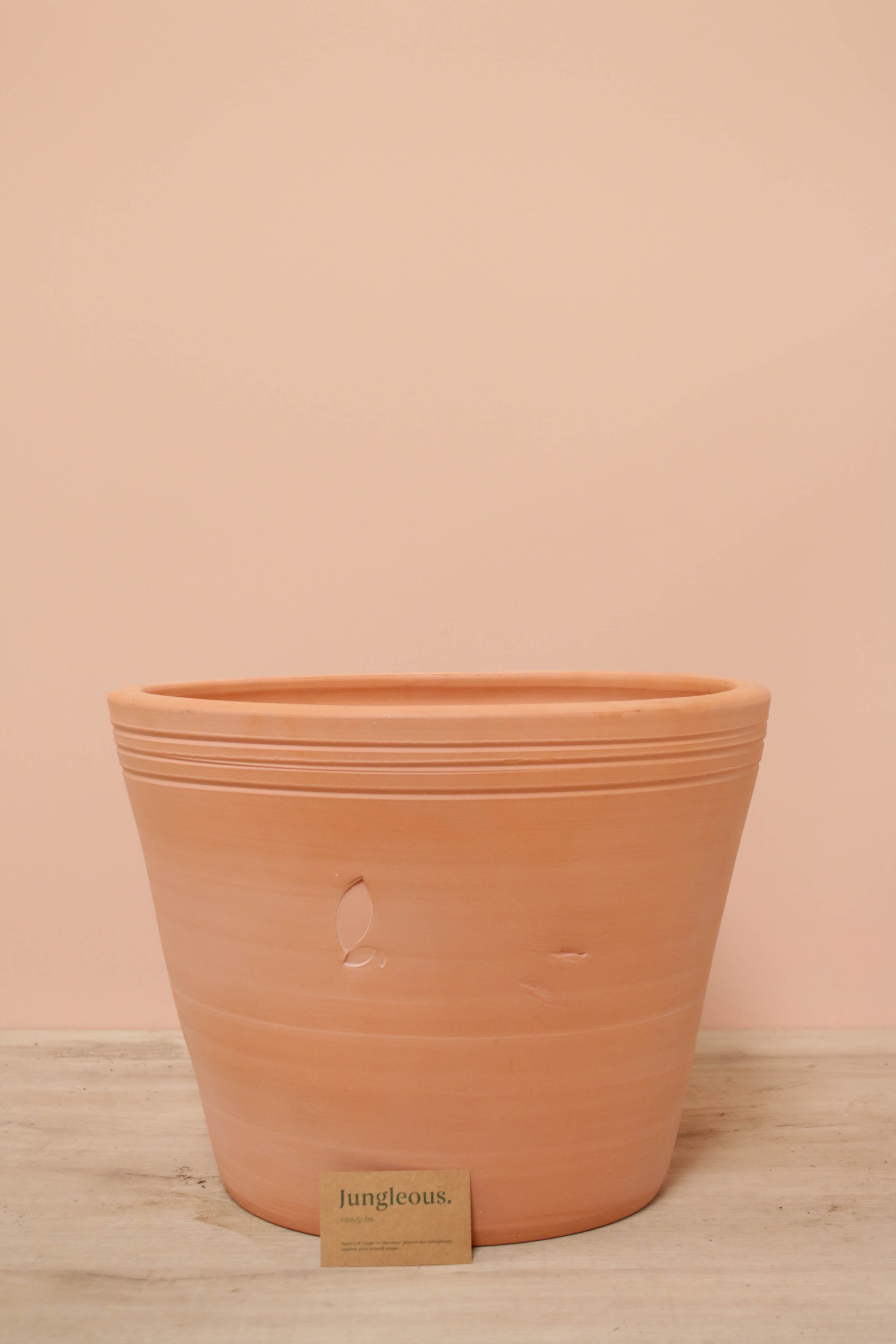 Jungleous-Cucina Saksı S-Saksı-2-Milagron.com