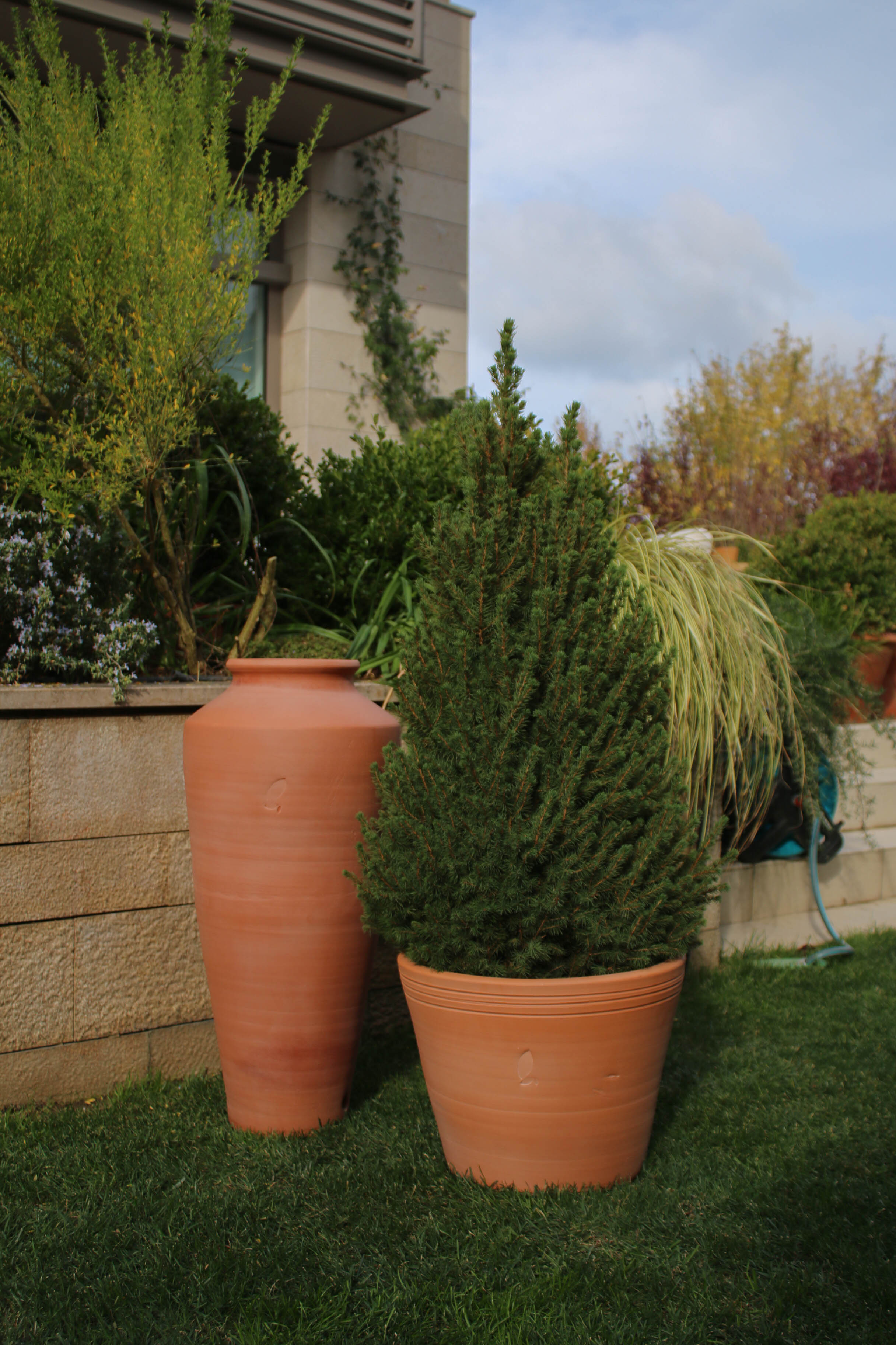 Jungleous-Cucina Saksı S-Saksı-4-Milagron.com