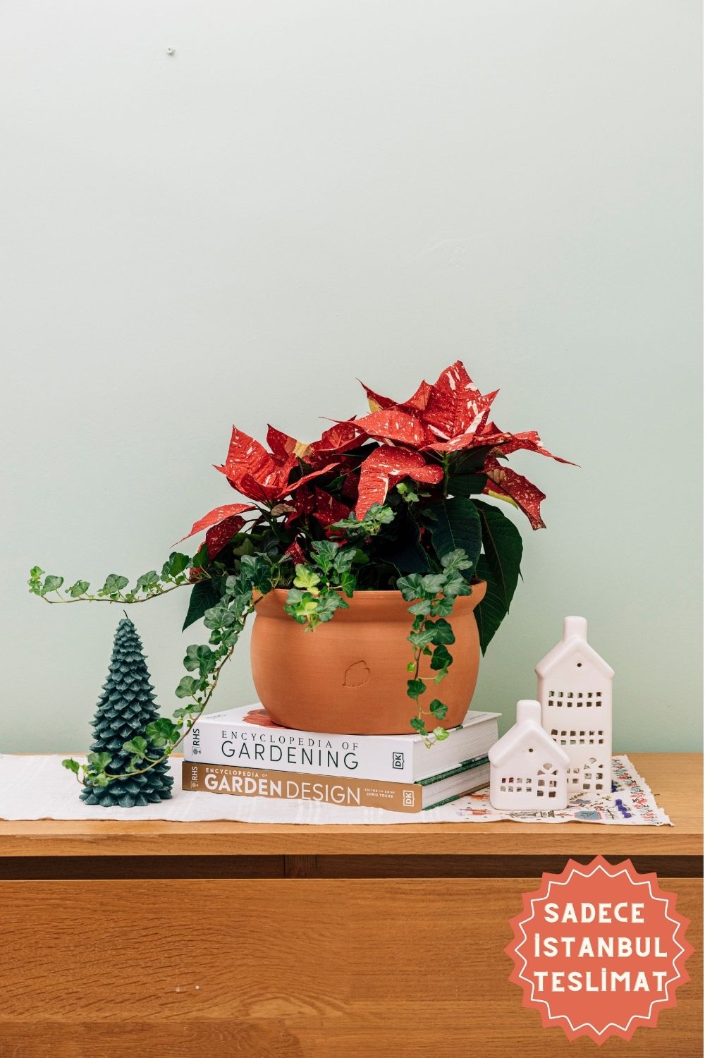 Jungleous-Cup Of Santa-Bitki-1-Milagron.com