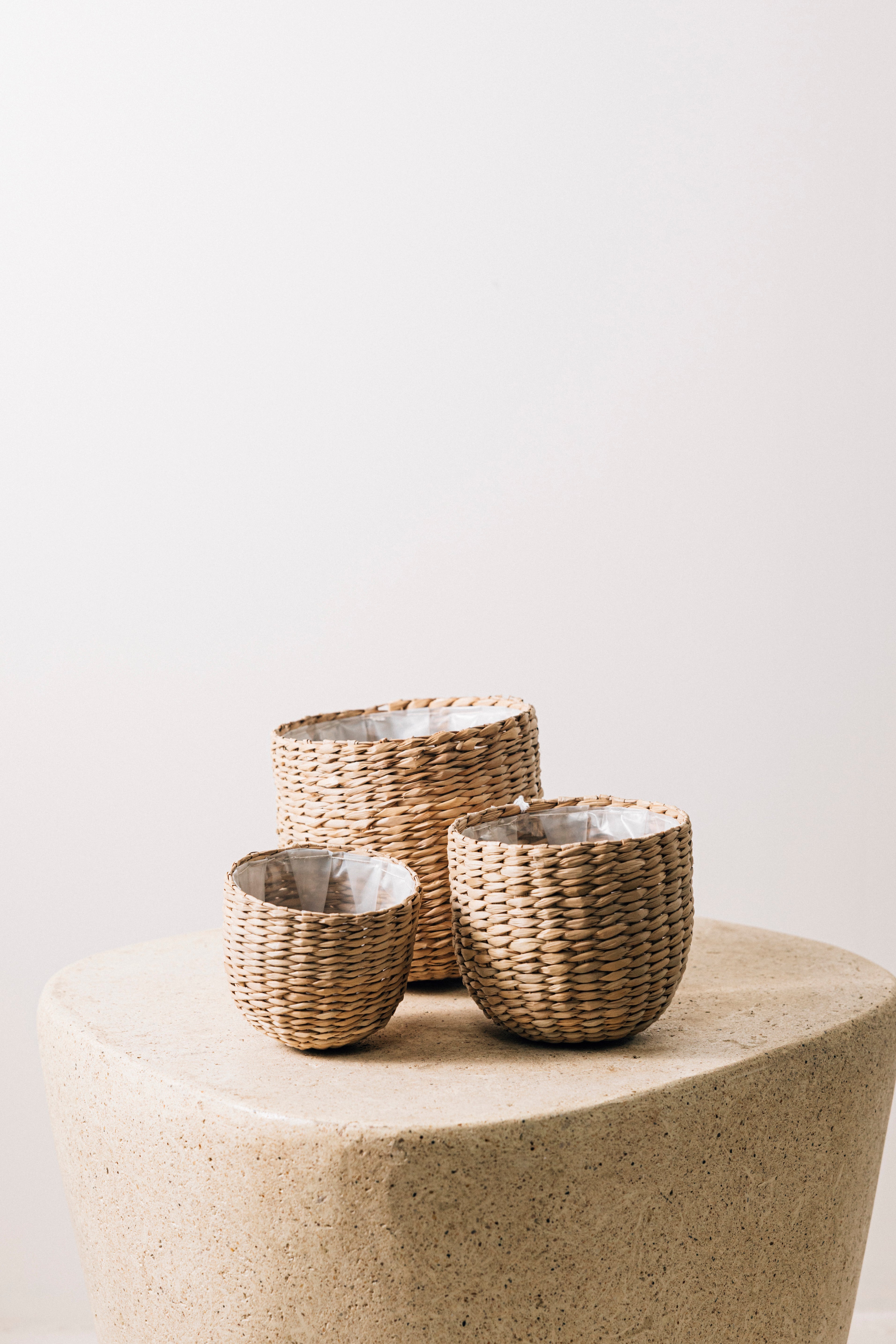 Jungleous-Hasır Sepet (3'lü)-Saksı-2-Milagron.com