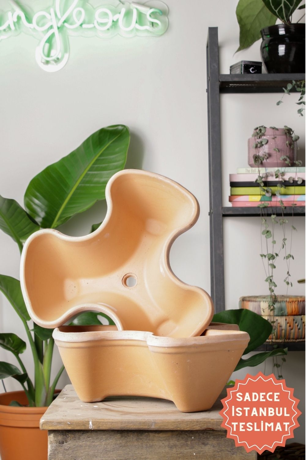 Jungleous-Herb Saksı-Saksı-1-Milagron.com